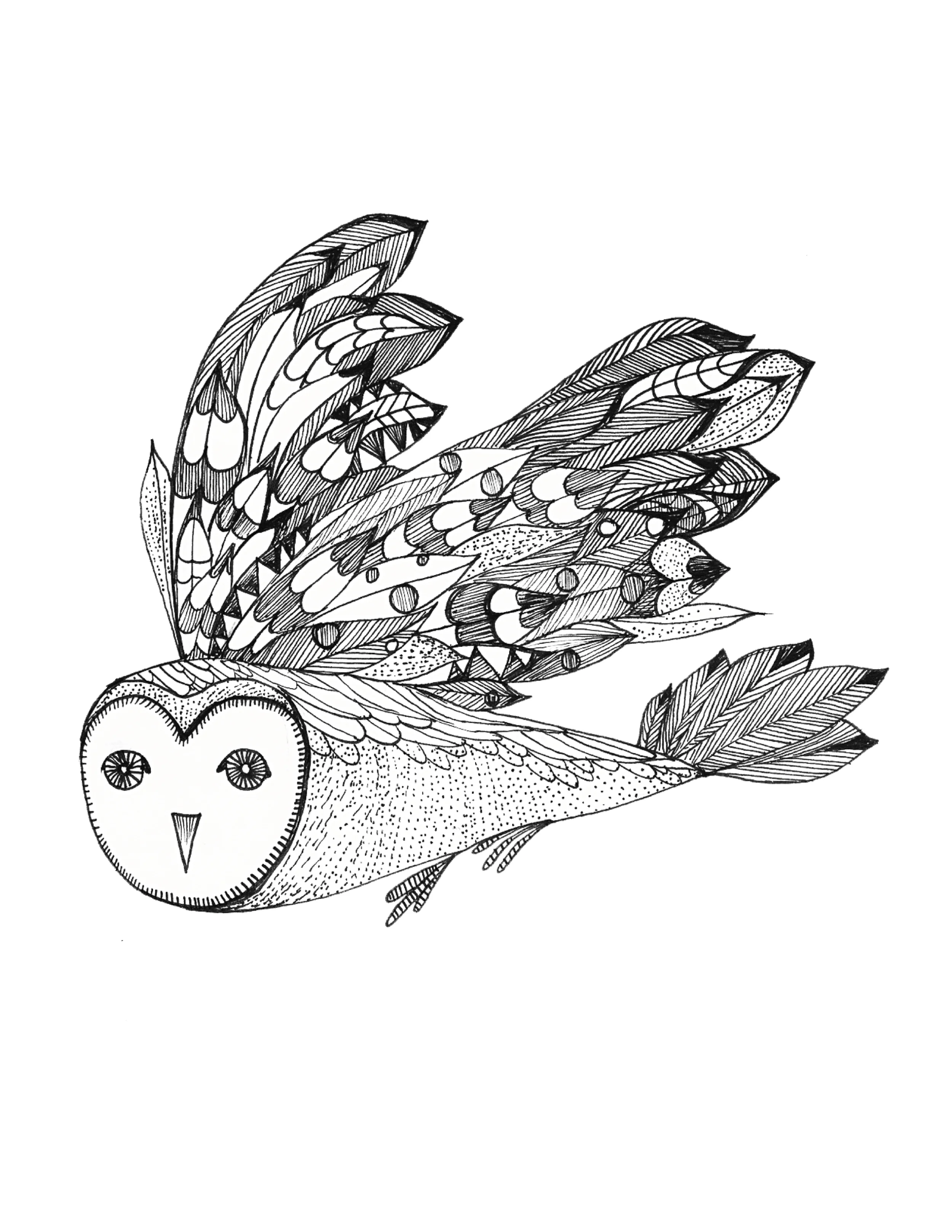 Owlinflight.jpg