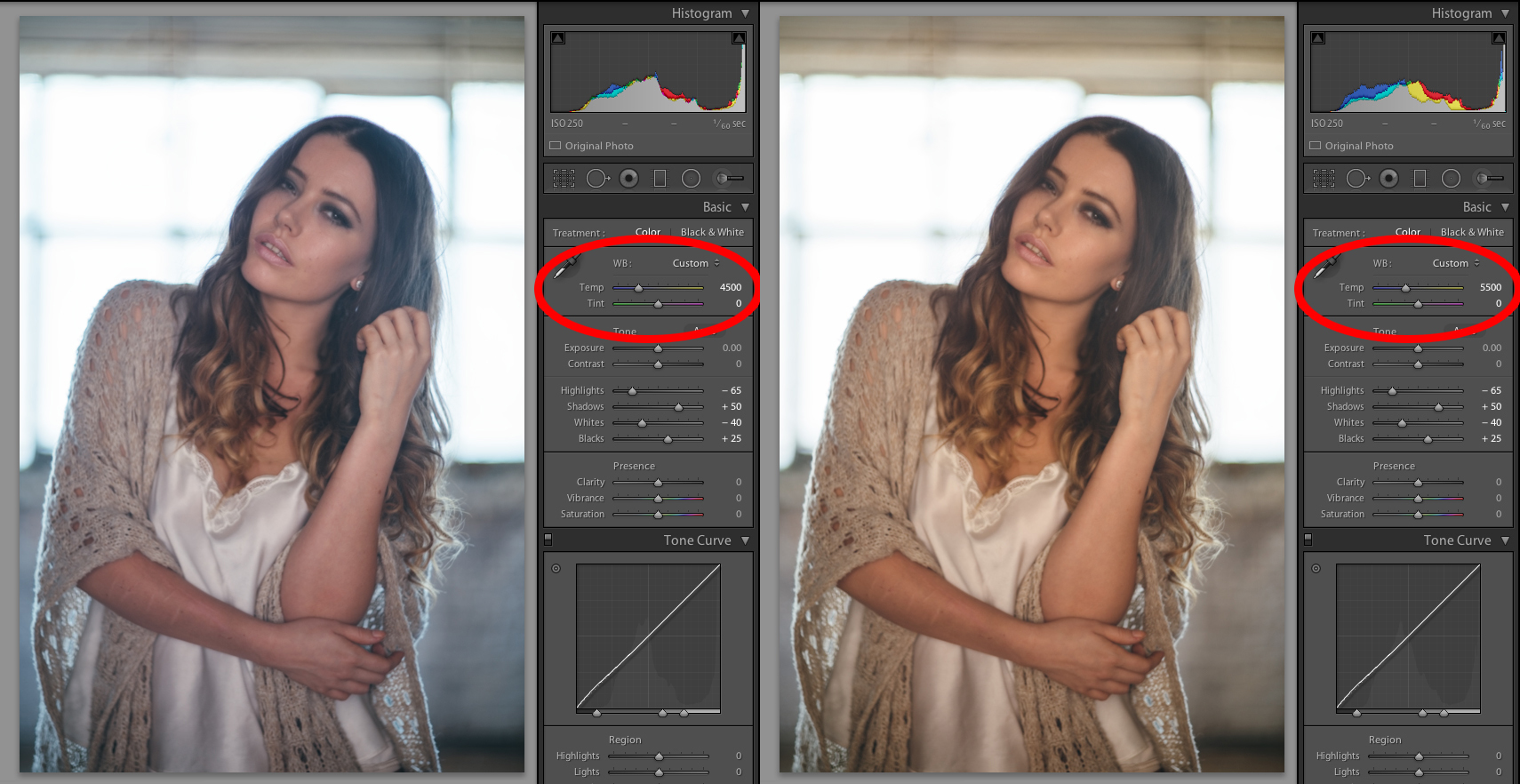 The only difference between these shots is the Kelvin input know as white balance. The left hand shot is a lot cooler in appearance with a Kelvin of 4500k and the right hand shot is a lot warmer with a Kelvin value of 5500k. Neither of these shots are right or wrong and I believe they are both viable because they both contain 'natural' colour tones. Click on the image to enlarge.
