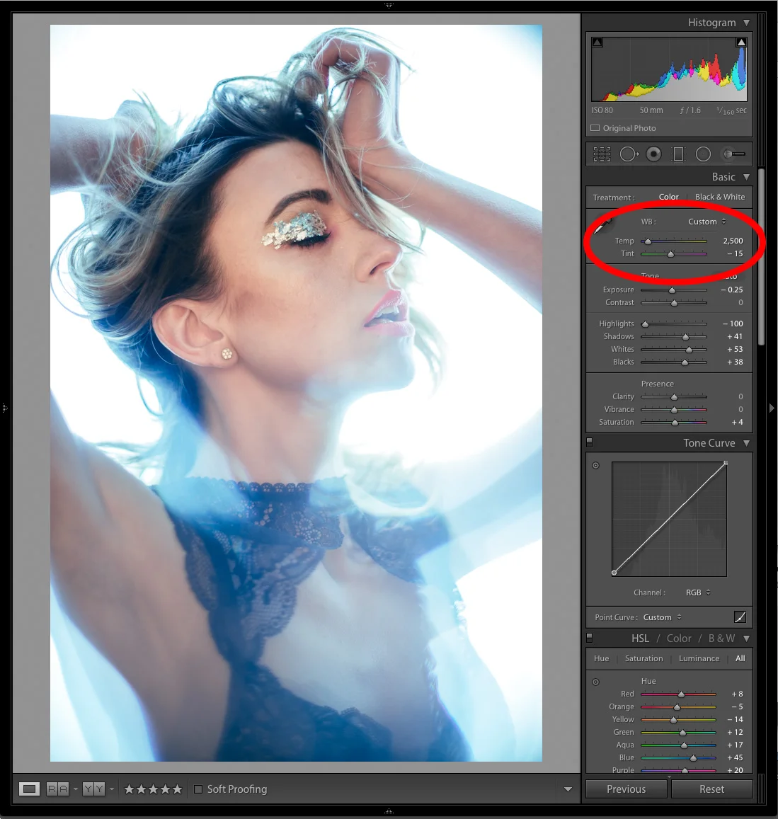 Next up, I added a CTO gel to my reflector and adjusted the Kelvin on my camera to counteract it. Here I have a Kelvin 2500K which is adding a lot of blue into the shot to eliminate the orange light being bounded back onto the model.