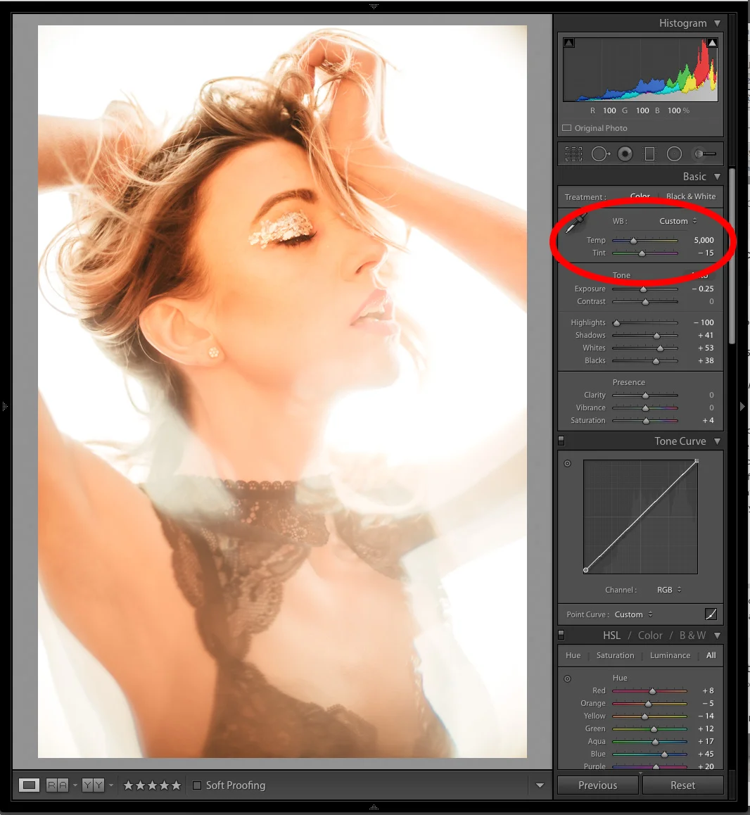 This image has the CTO gel bounced onto the model but the Kevin value has been left on a standard 5000K for flash and daylight. It's very clear how much orange is actually bounced onto the model here.