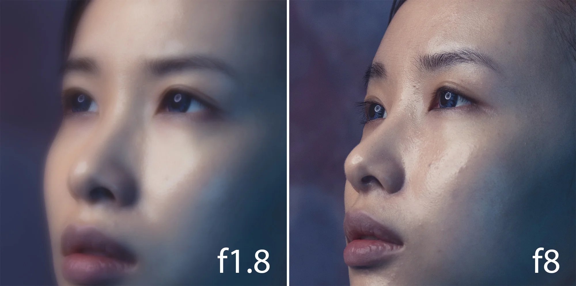 These images are simply close-up crops of the full size images above. Again, these are un-retoucehd raws. Click to enlarge