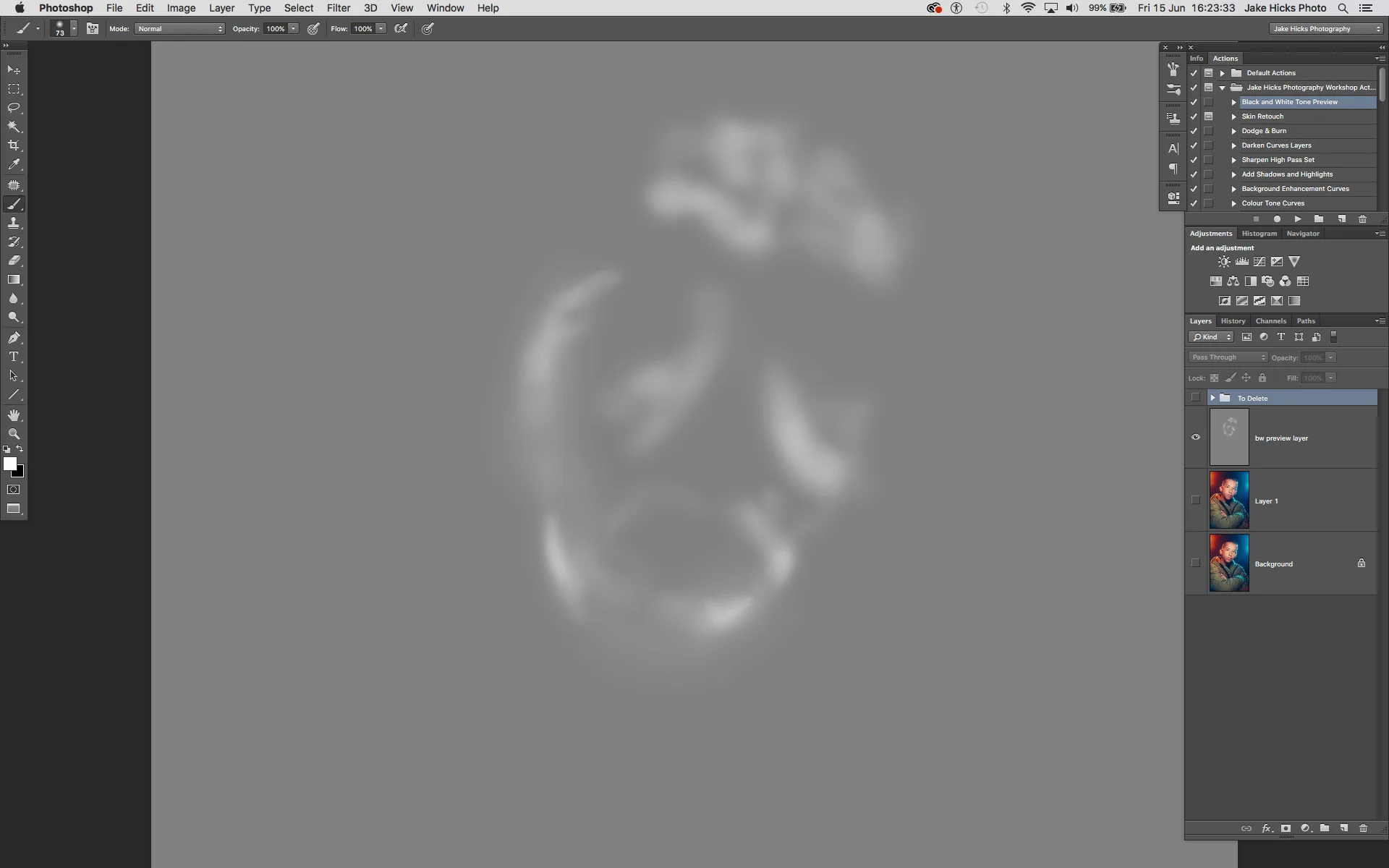 Just the grey dodge and burn layer selected.