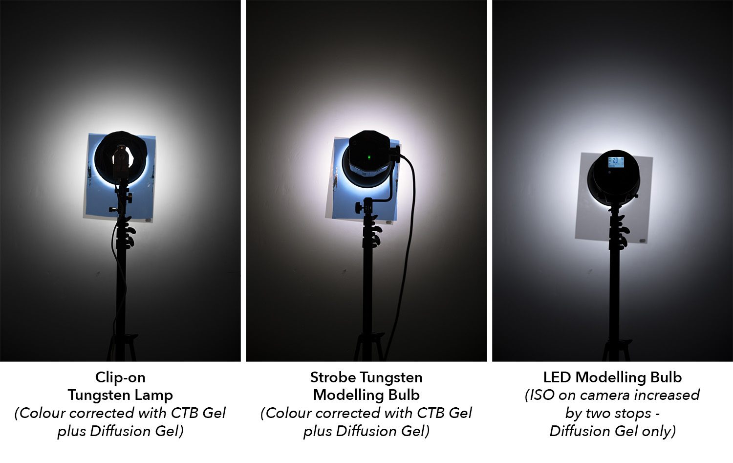 three modeling bulbs.jpg