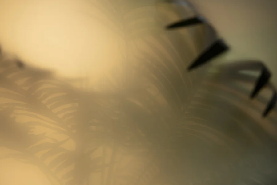 Imitating Hazy Backgrounds with Diffusion Gels — Jake Hicks Photography