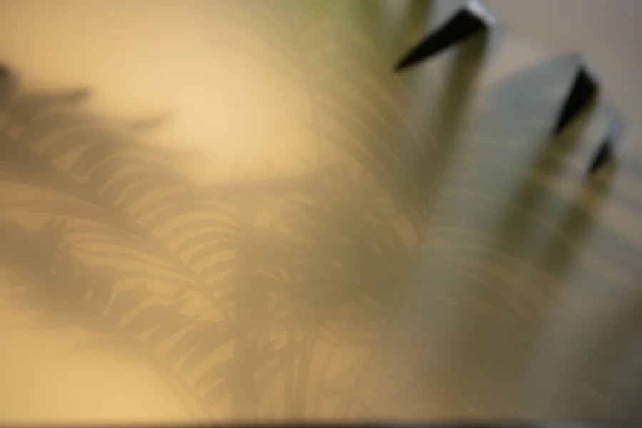 Imitating Hazy Backgrounds with Diffusion Gels — Jake Hicks Photography