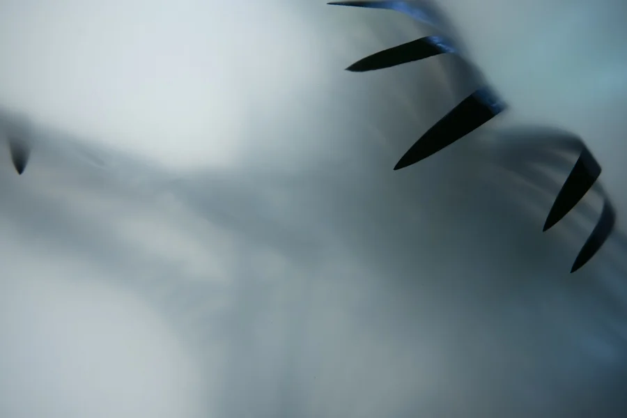 Imitating Hazy Backgrounds with Diffusion Gels — Jake Hicks Photography