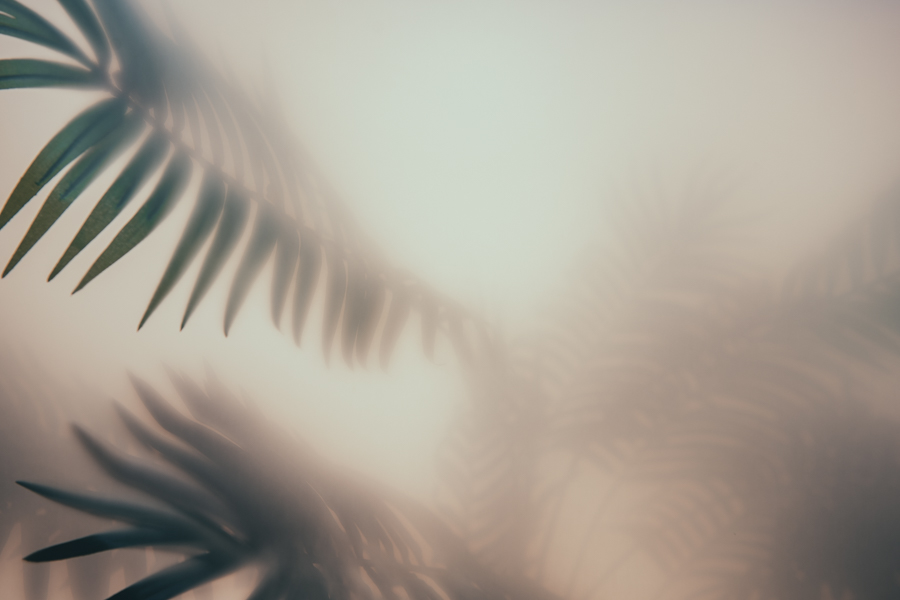 Imitating Hazy Backgrounds with Diffusion Gels — Jake Hicks Photography