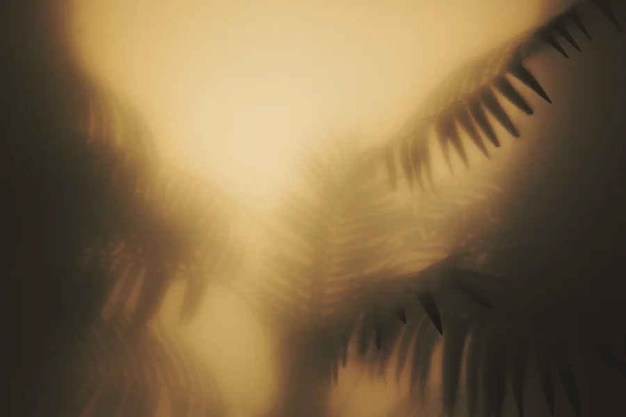 Imitating Hazy Backgrounds with Diffusion Gels — Jake Hicks Photography