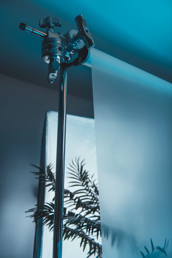 The 255 LEE diffusion gel was suspended in front of the plant with a C-stand and the softbox was positioned behind that.