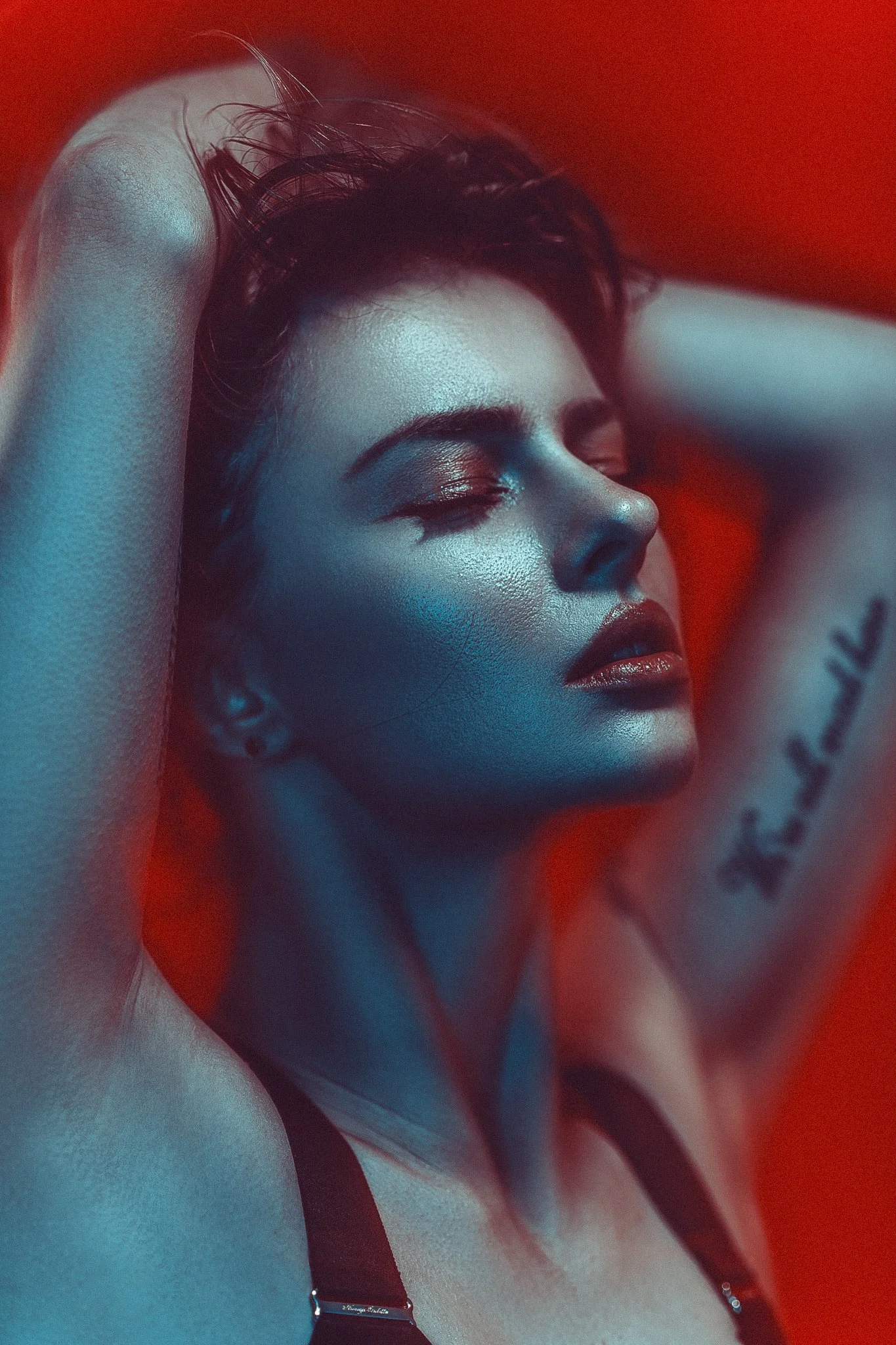 -Rouge Nuit- — Jake Hicks Photography