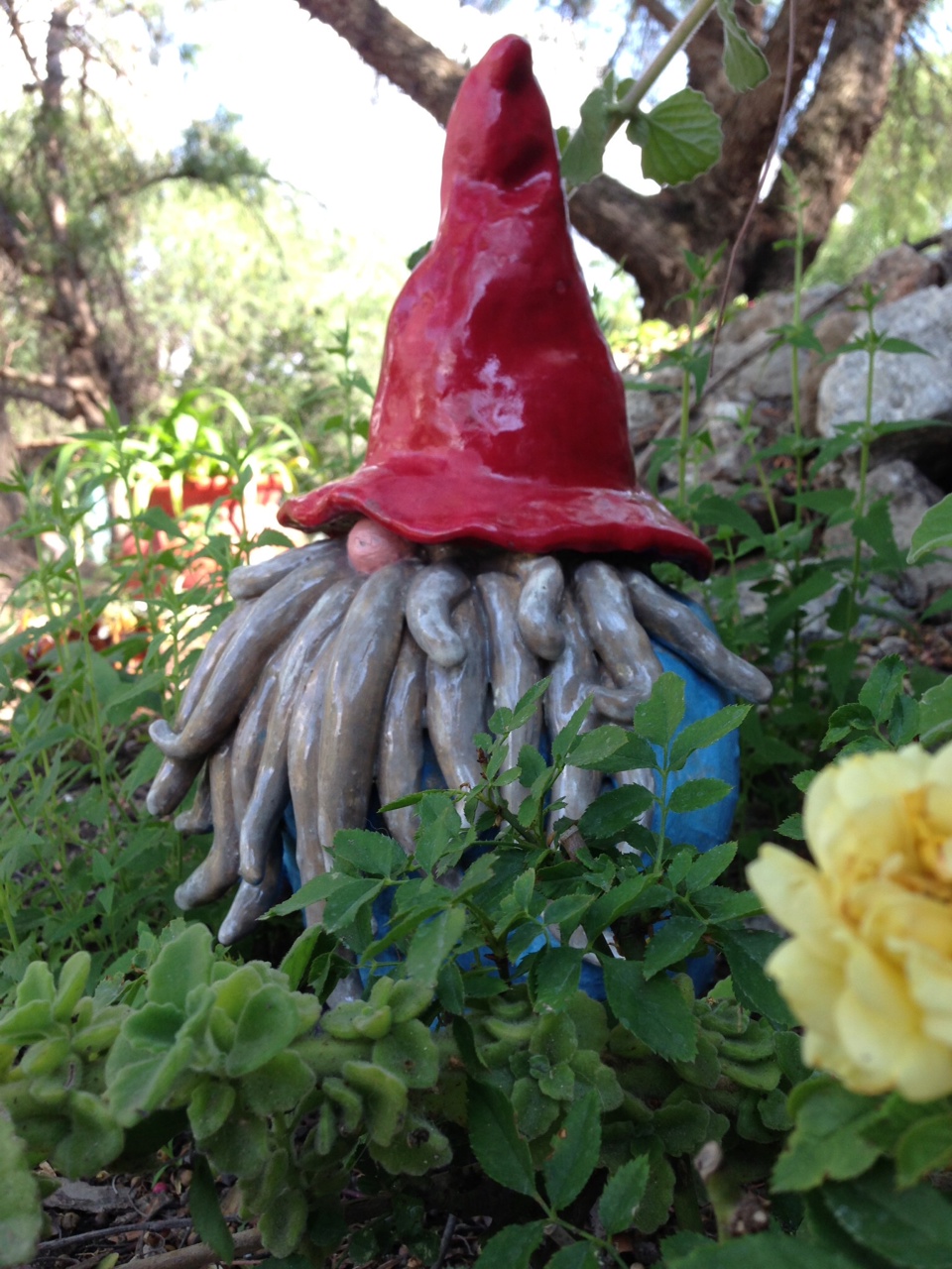 Garden Gnome - Kathryn Purse