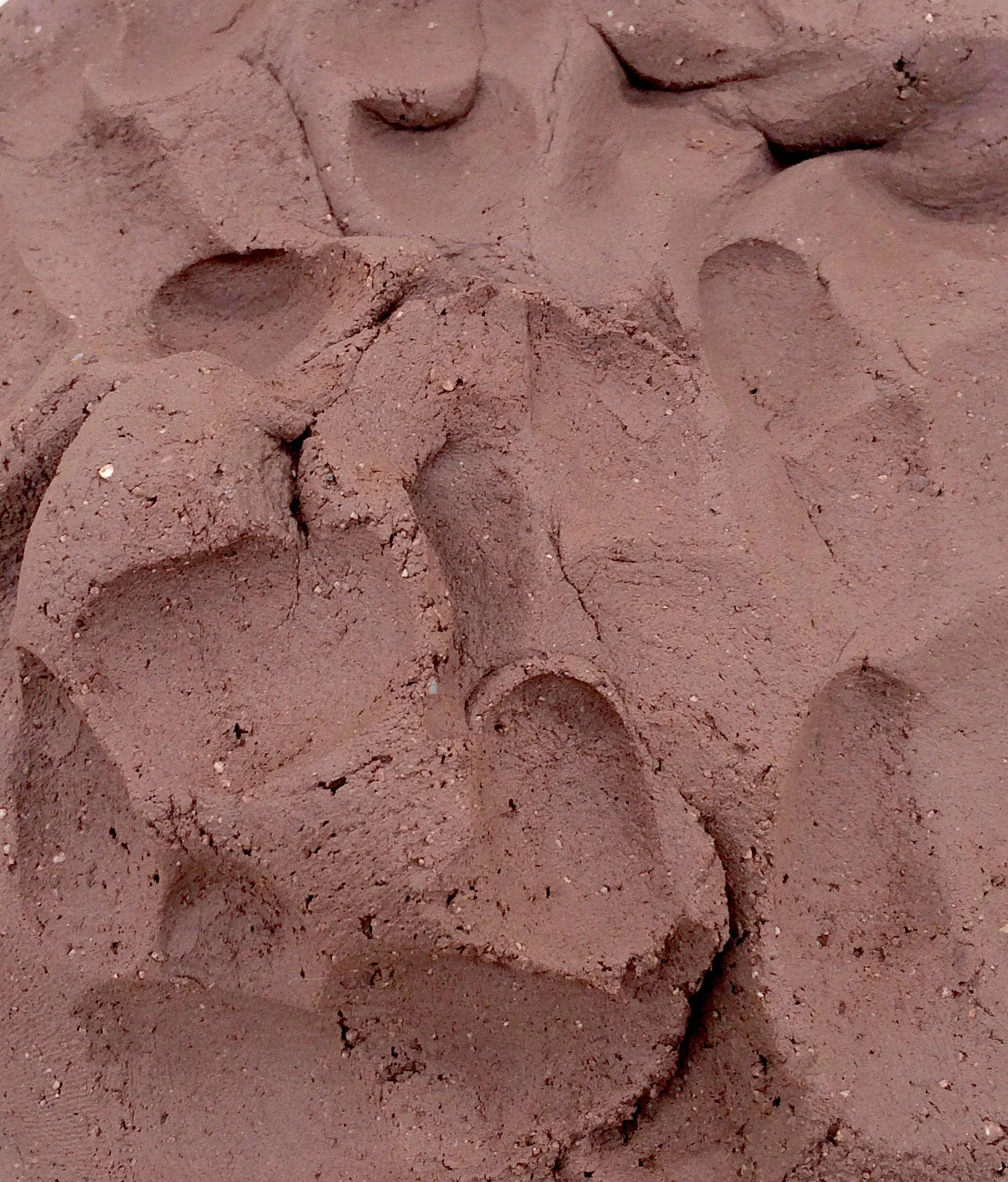 1. Rough-textured, groggy, earthenware sculpting clay, formulated for large-scale sculpture and/or any size sculpture or functional ware when a rustic finish is desired. Fires to a light iron oxide red at Cone 08 through to a darker iron oxide red at Cone 2 maturity. Not suitable for wheel work. Barro de baja temperatura para escultura y/o piezas utilitarias, aspero, de malla gruesa, formulado para obras de formato pequeño a monumental, cuando un terminado rústico es deseado.Este barro quema de color rojo oxido de tono mediano, a Cono 08 bizcocho, hasta un rojo oxido mas oscuro a su temperatura de maduración Cono 2 . NO es recomendado para trabajar en el torno.