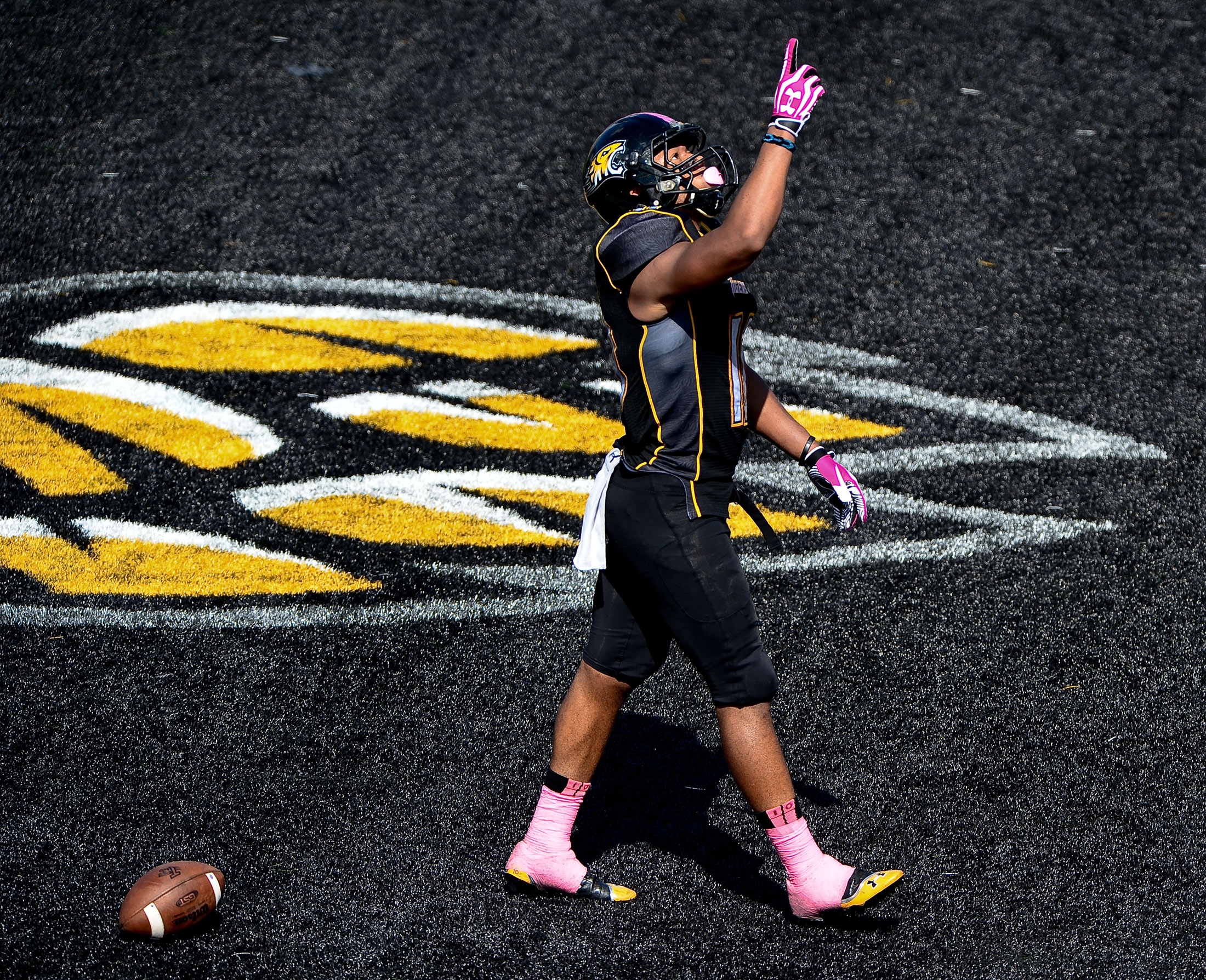  Towson University wide-receiver Spencer Wilkens catches a 21-yard 
touchdown pass in their win over University of New Hampshire on Oct. 5, 
2013 in Baltimore, Md. 