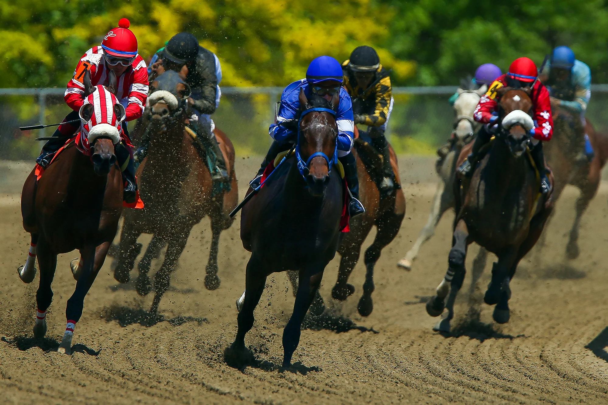 Racing one day prior to the 140th Preakness Stakes at Pimlico Race Course on May 15, 2015 in Baltimore, Maryland.