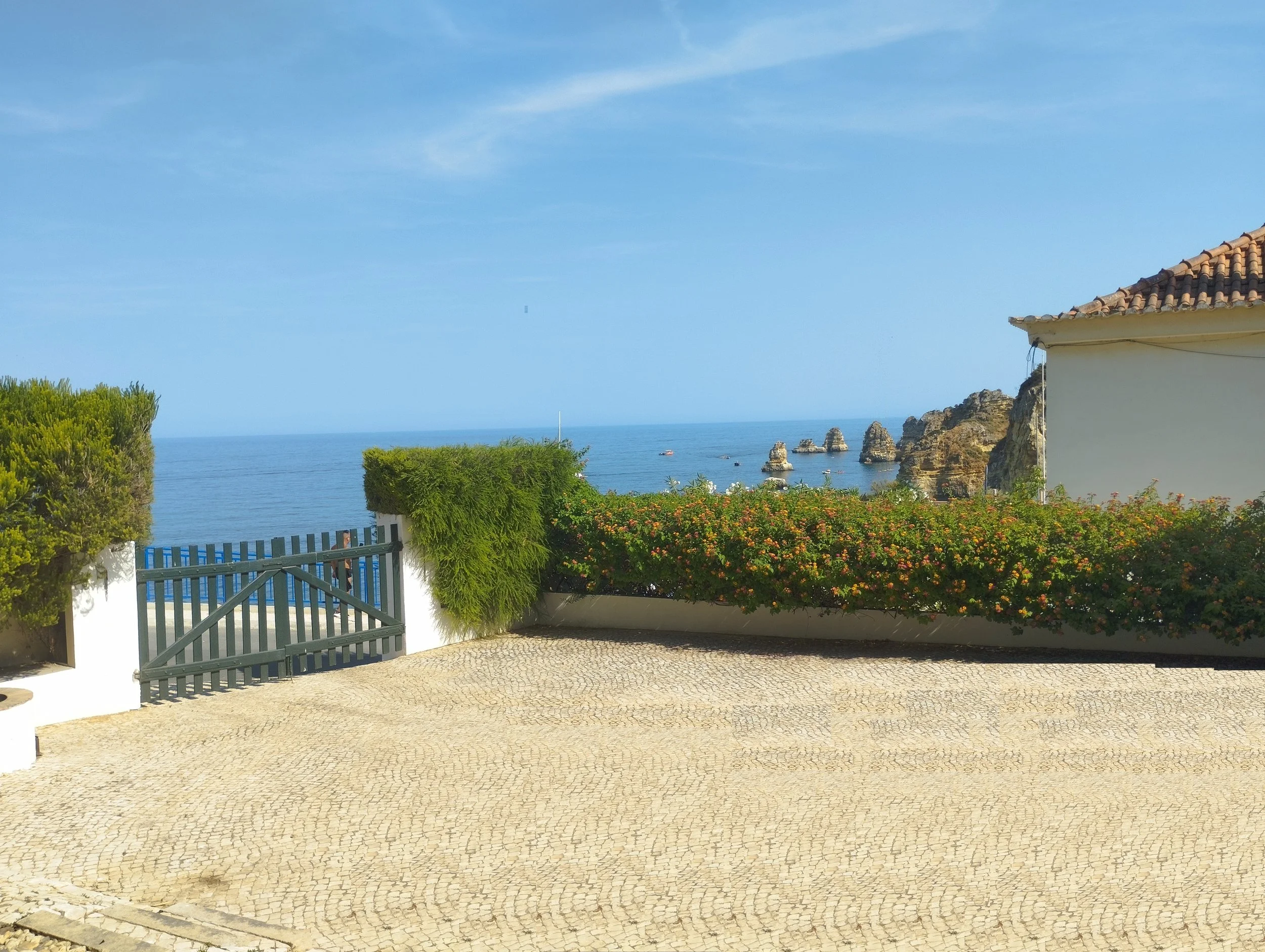 vista capa.jpg