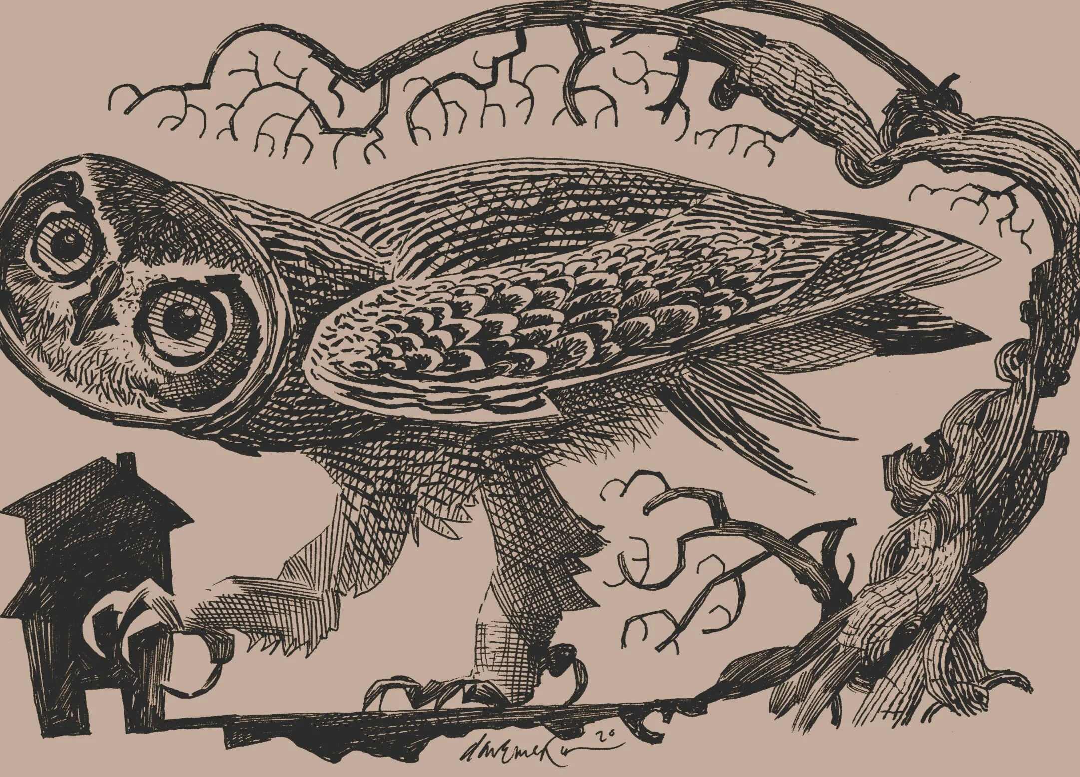 Matthew Sweeney's 'The Owl' @ Triskel Literary Festival 2022