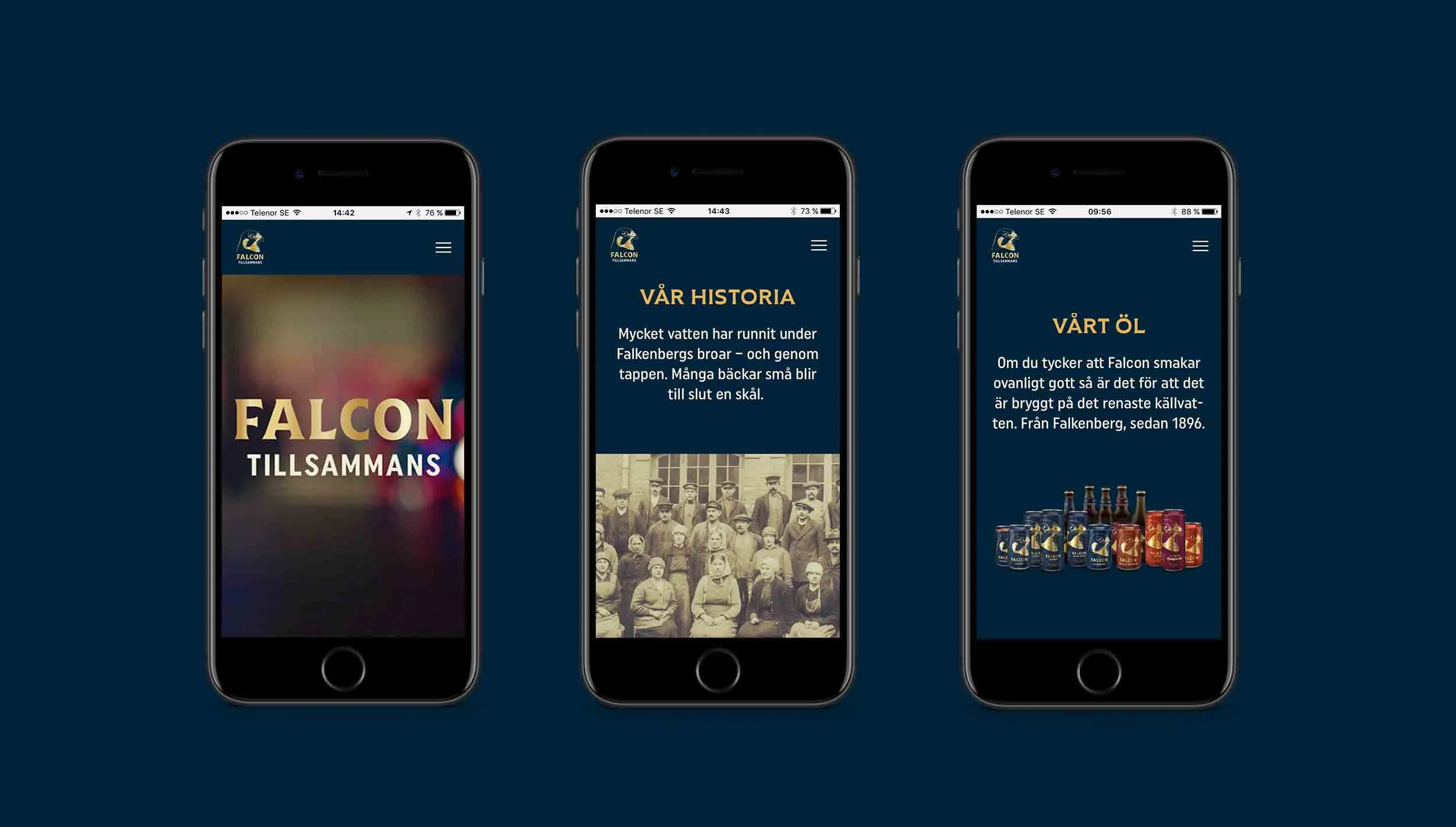 falcon_tillsammans_web_full_image.jpg