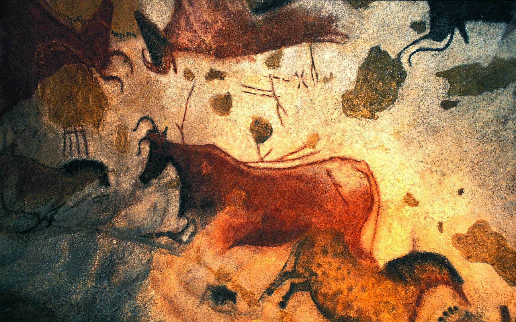 20140302015150-1238-lascaux-II-tour.jpg