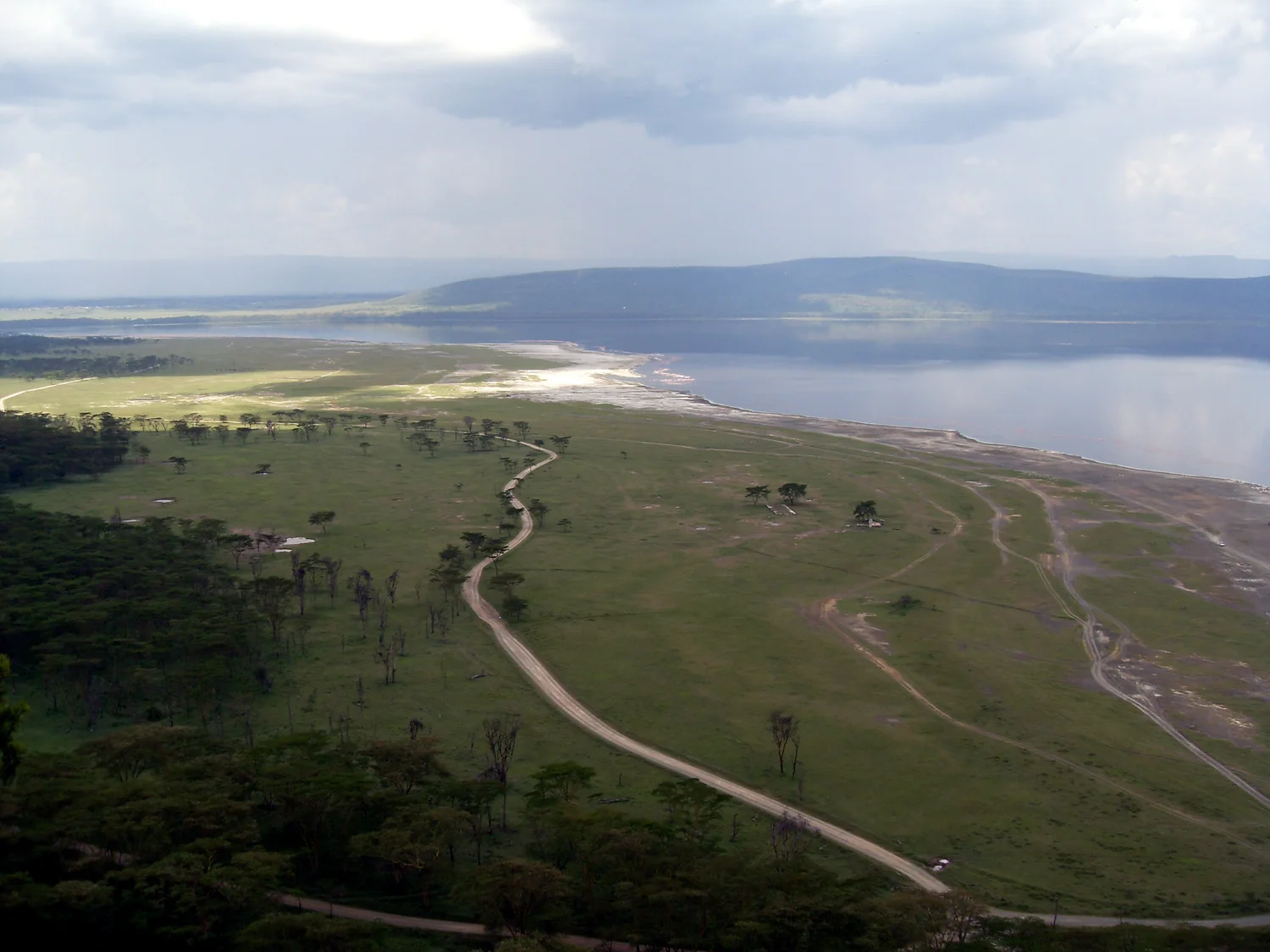 Gallery — Tomasz Magierski