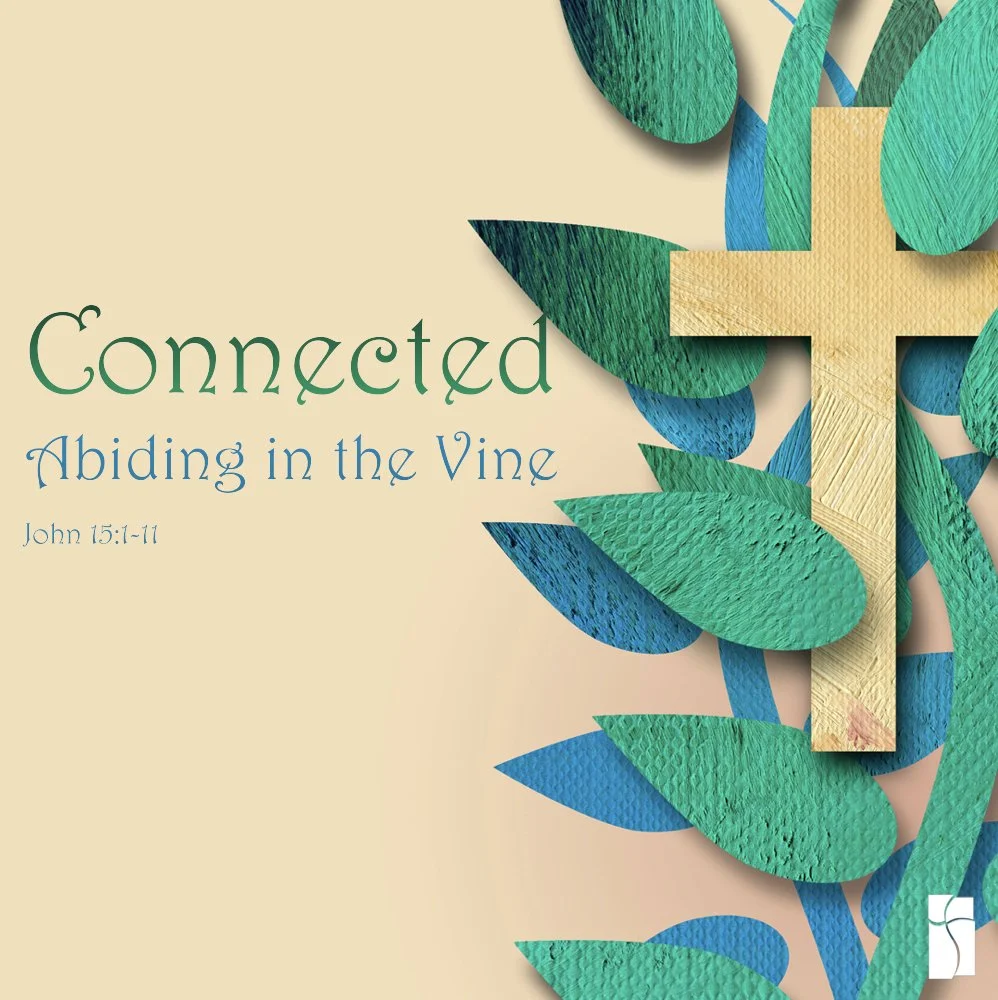 Connected: Abiding in a Vine episode artwork