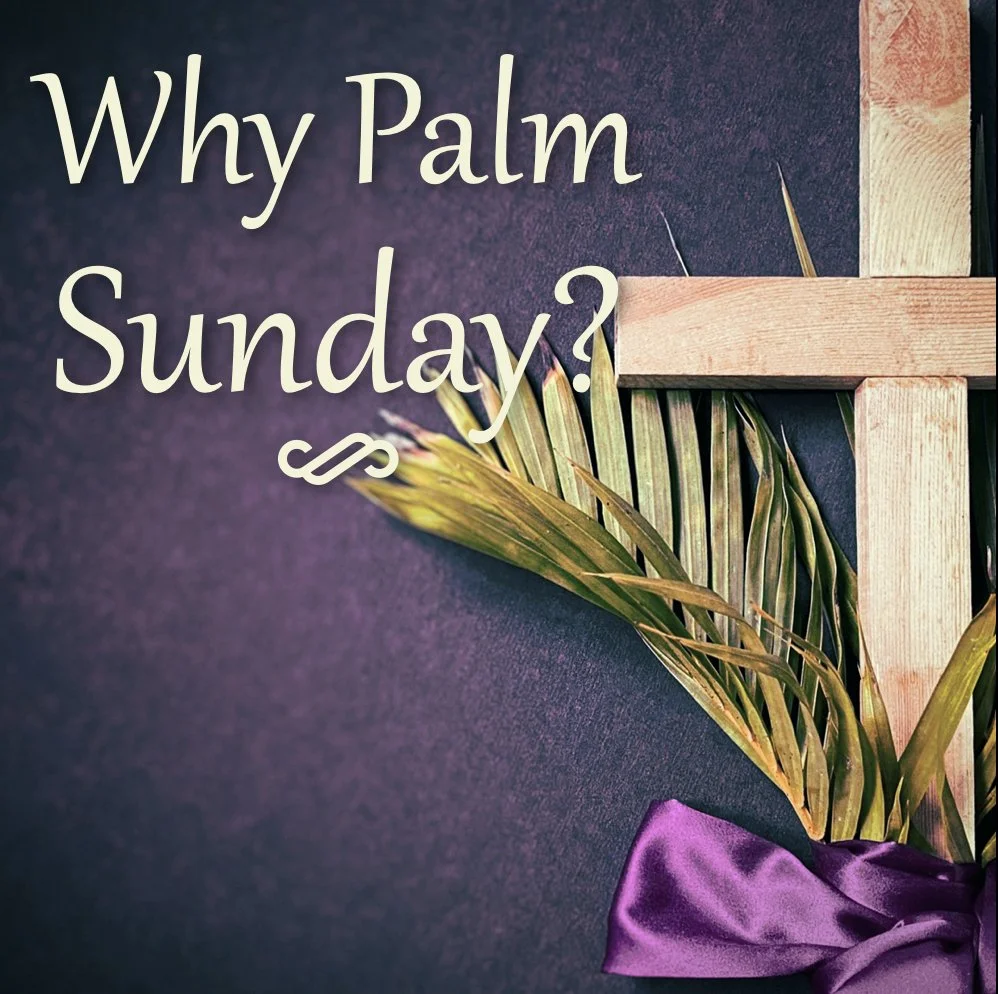 Palm Sunday: Why Palm Sunday?