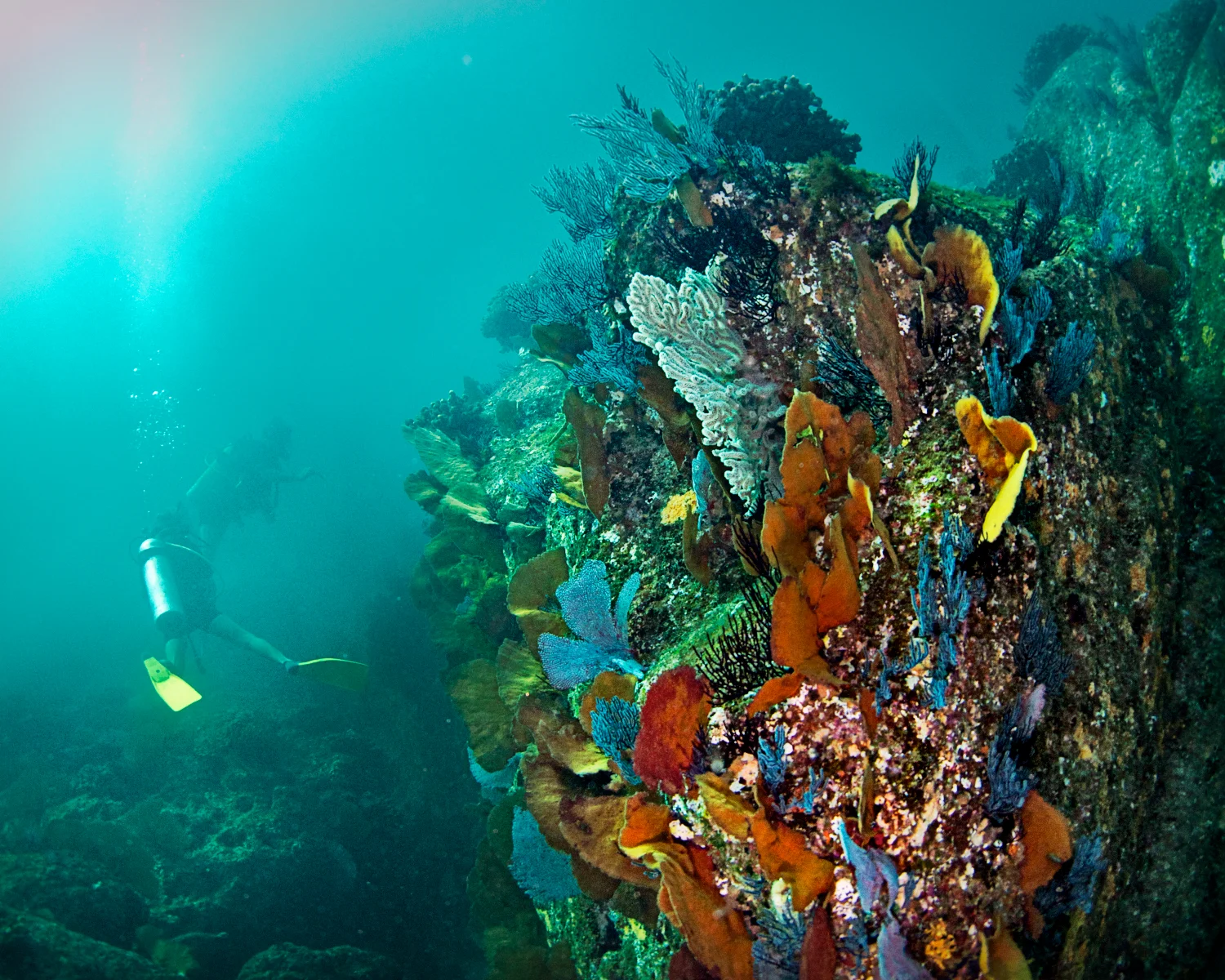 201308 Cabo SEA 47364.jpg