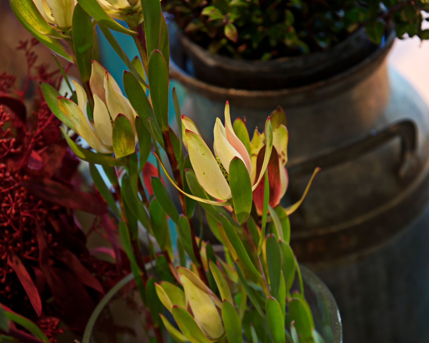 201302 Arts District  40903.jpg