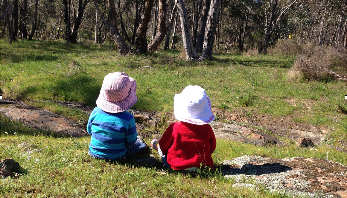 Leadership Part 1: Where Leadership Began: The Campfire