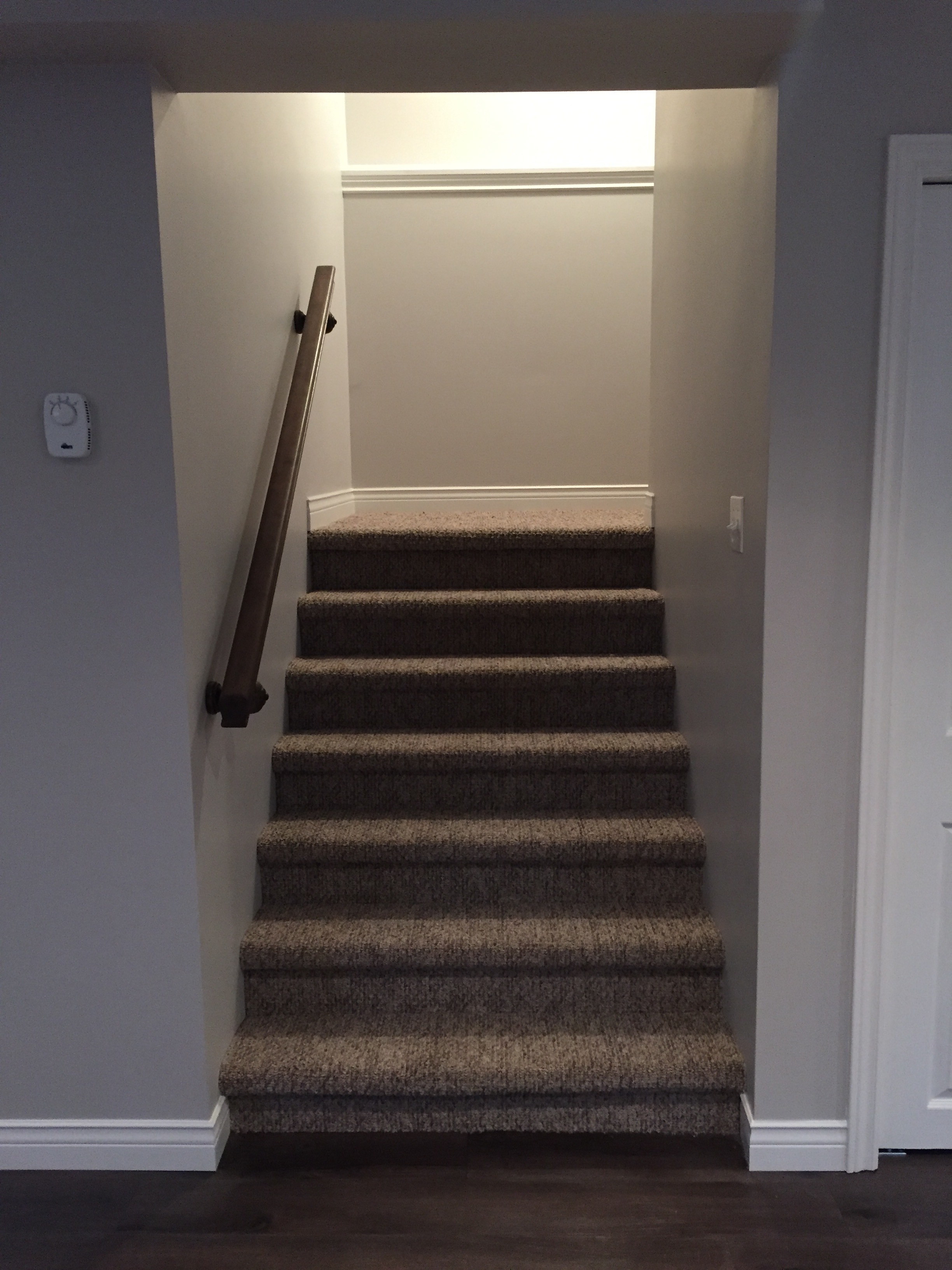 Carpeted stairs to main floor. 