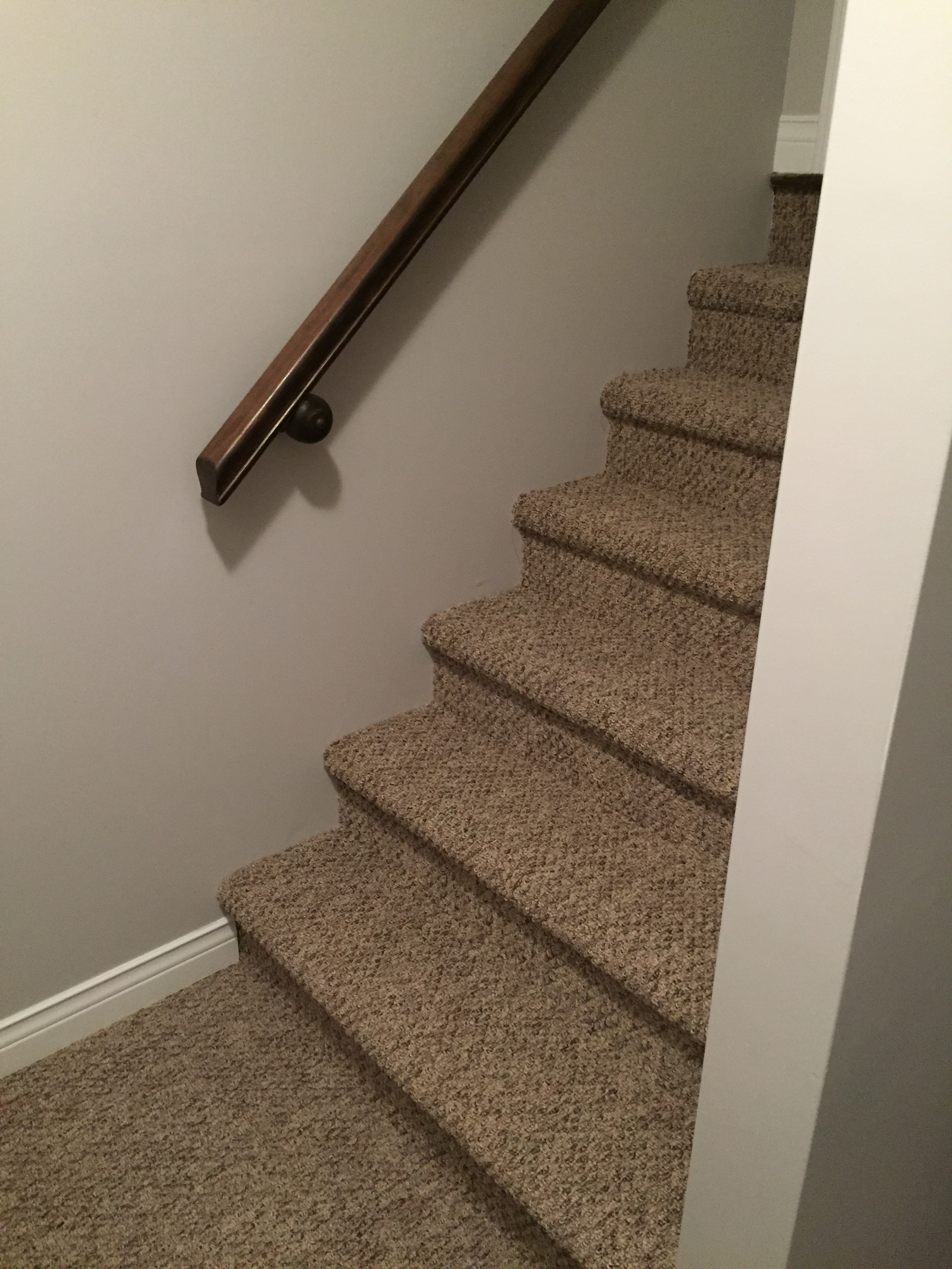 Carpeted stairs to main floor. 