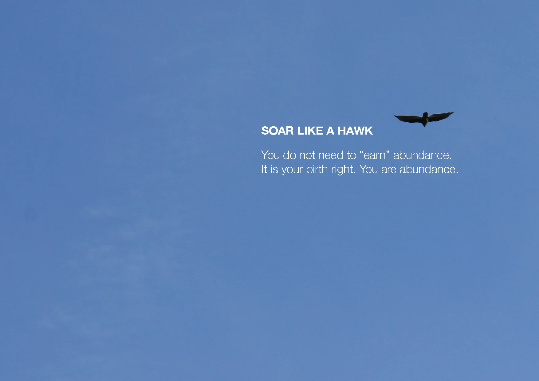 soar high.jpg