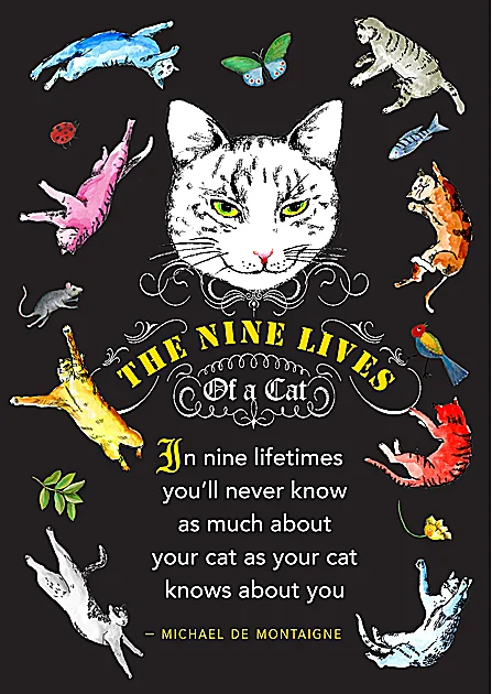 CAT-9 lives.jpg