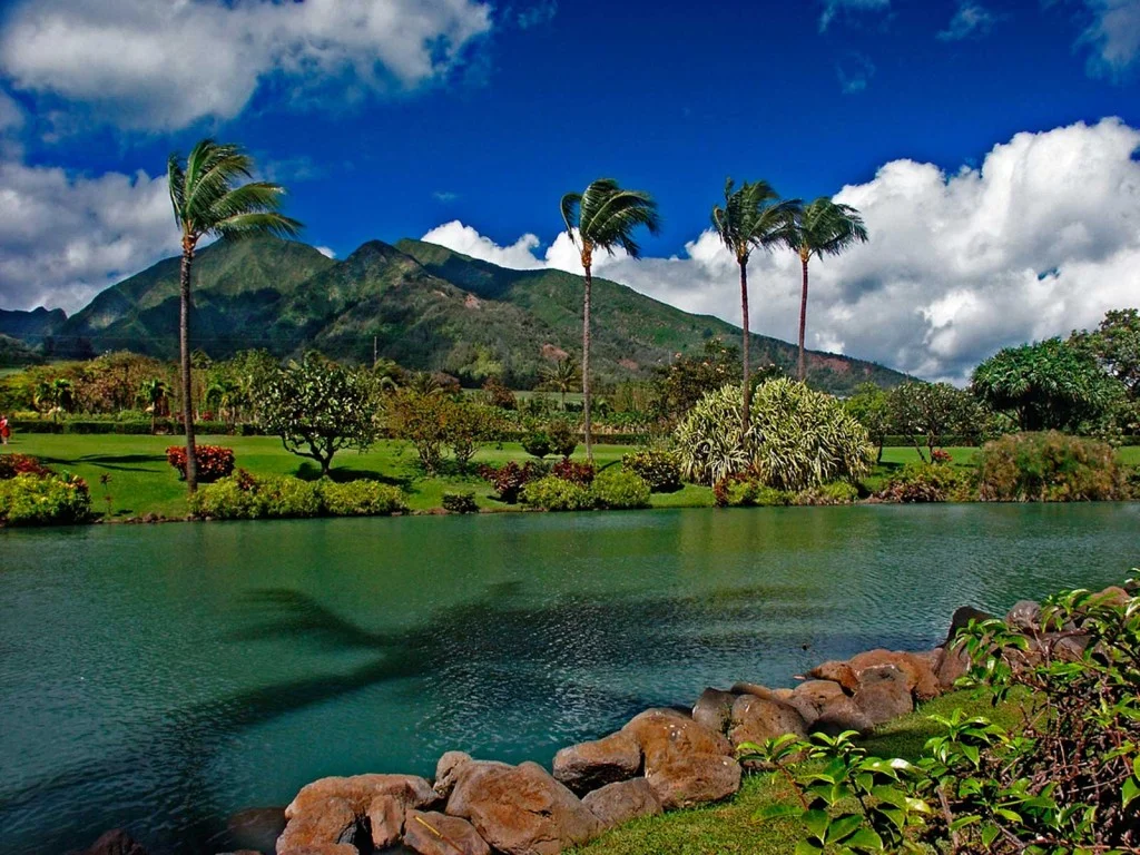Maui Tropical Plantation