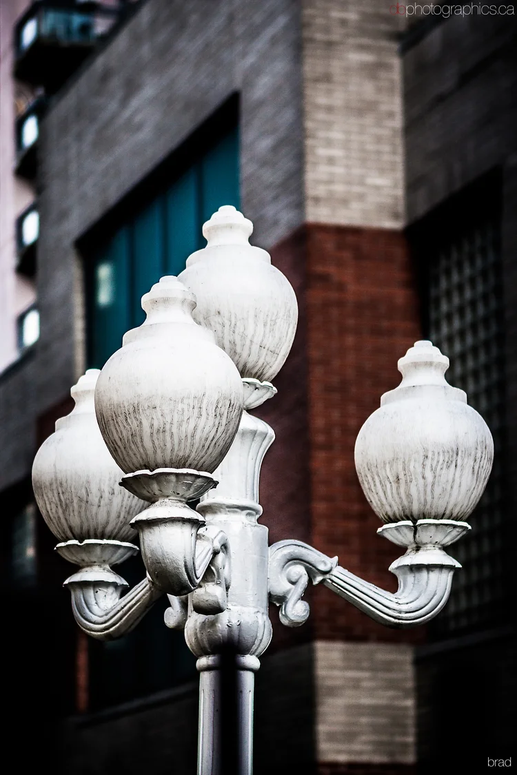 van-march-2013-387-lr-db.jpg