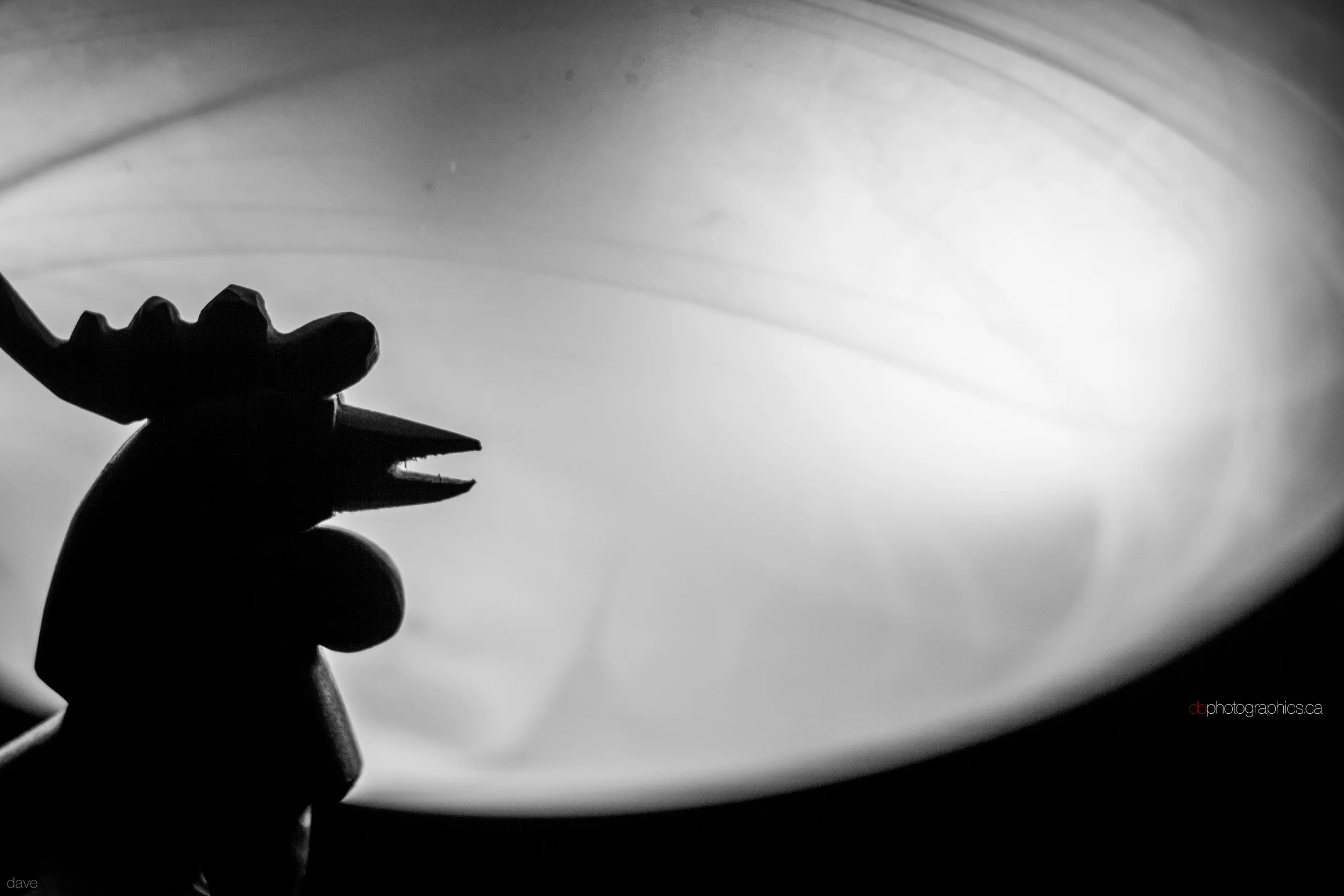 365 - 20131109 - dave - IMG_9515.jpg