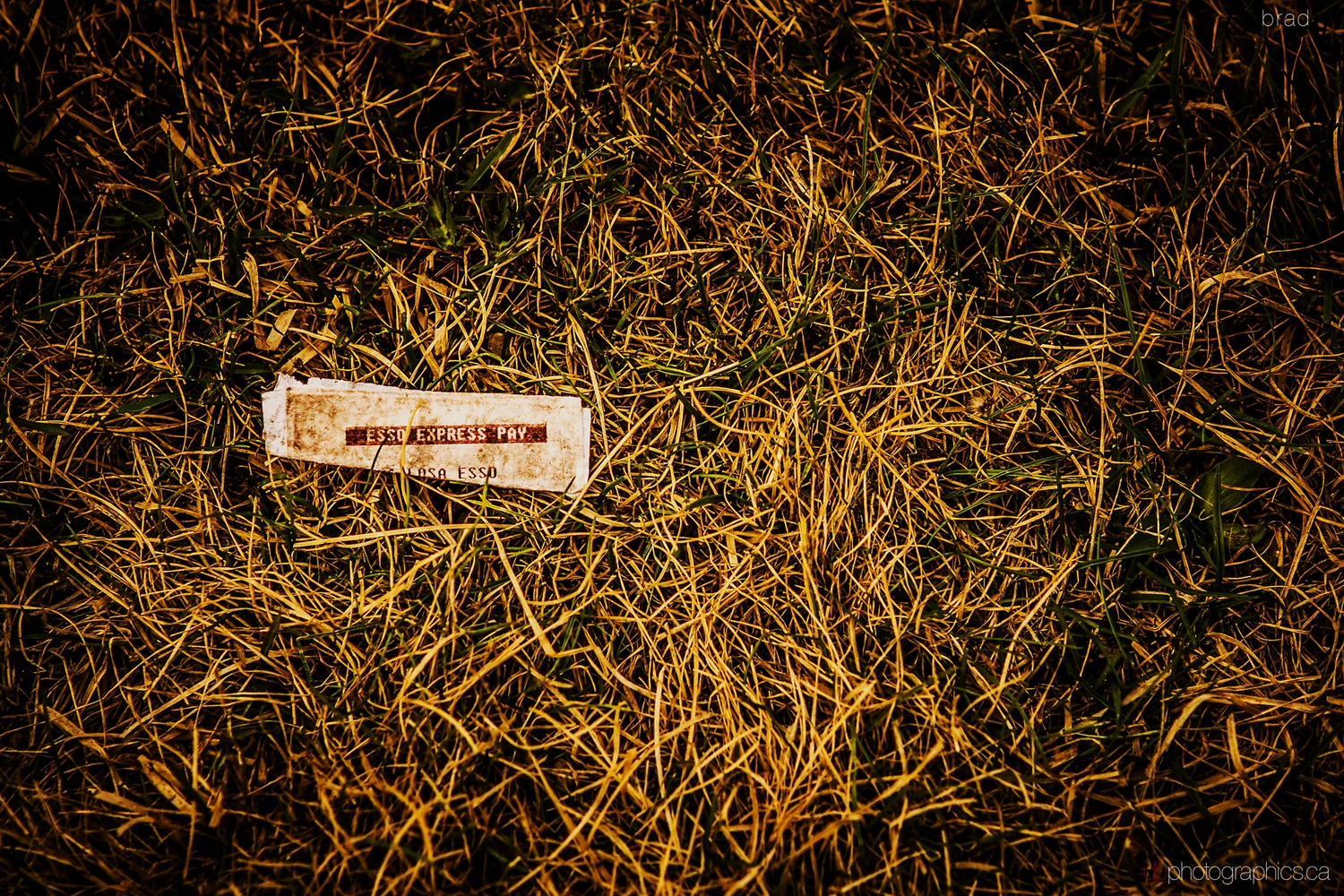 365-may-10-020-lr-db.jpg
