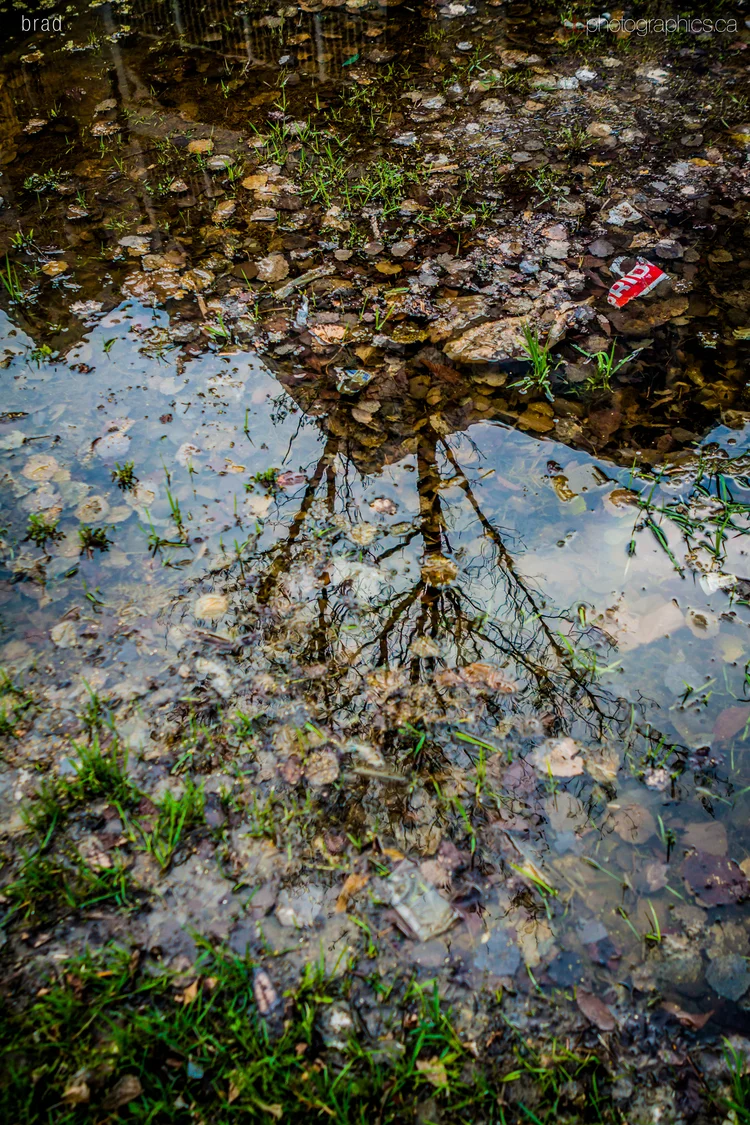 365-may-10-018-lr-db.jpg