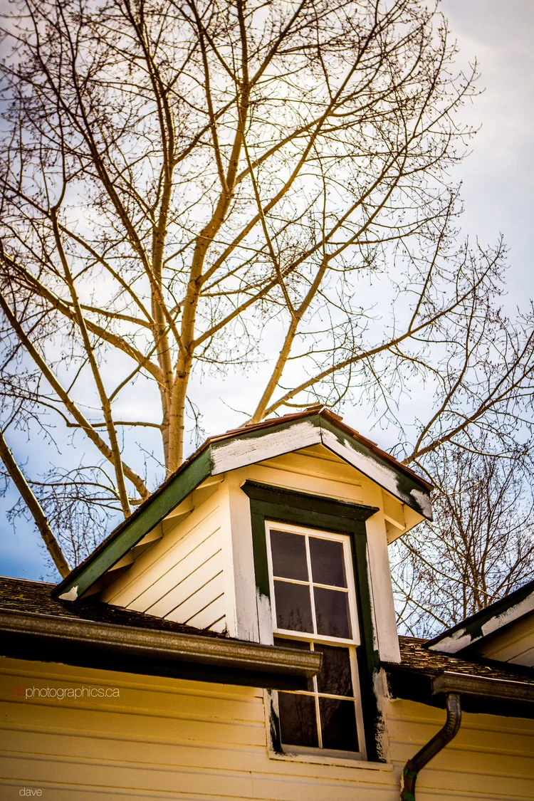 365 - 20130511 - dave - IMG_3635.jpg