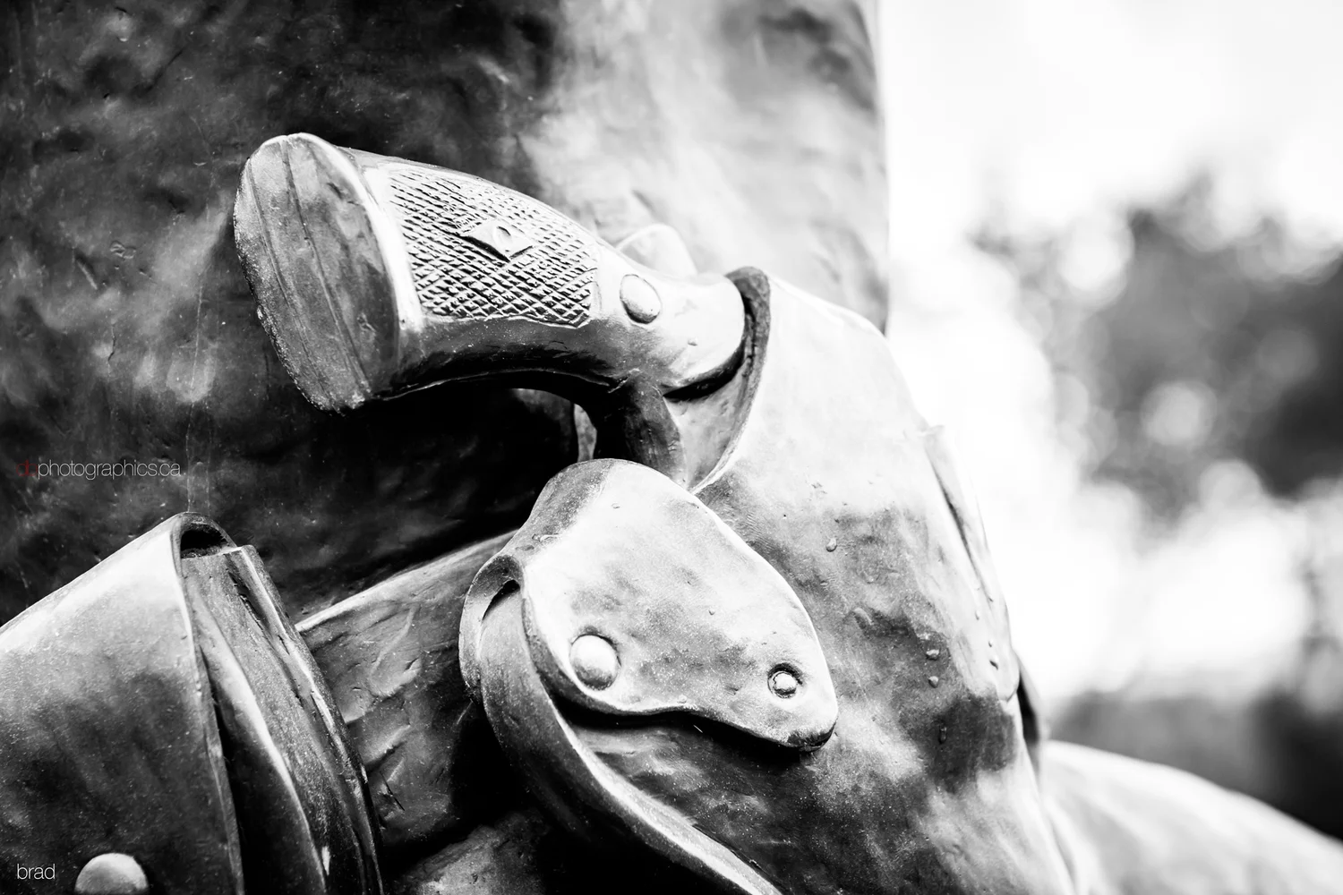 365-may-20-024-lr-db.jpg