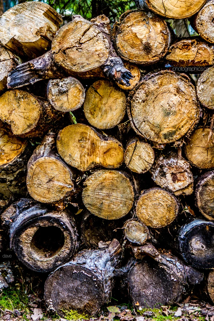 365 - 20130519 - dave - untitled shoot-025.jpg