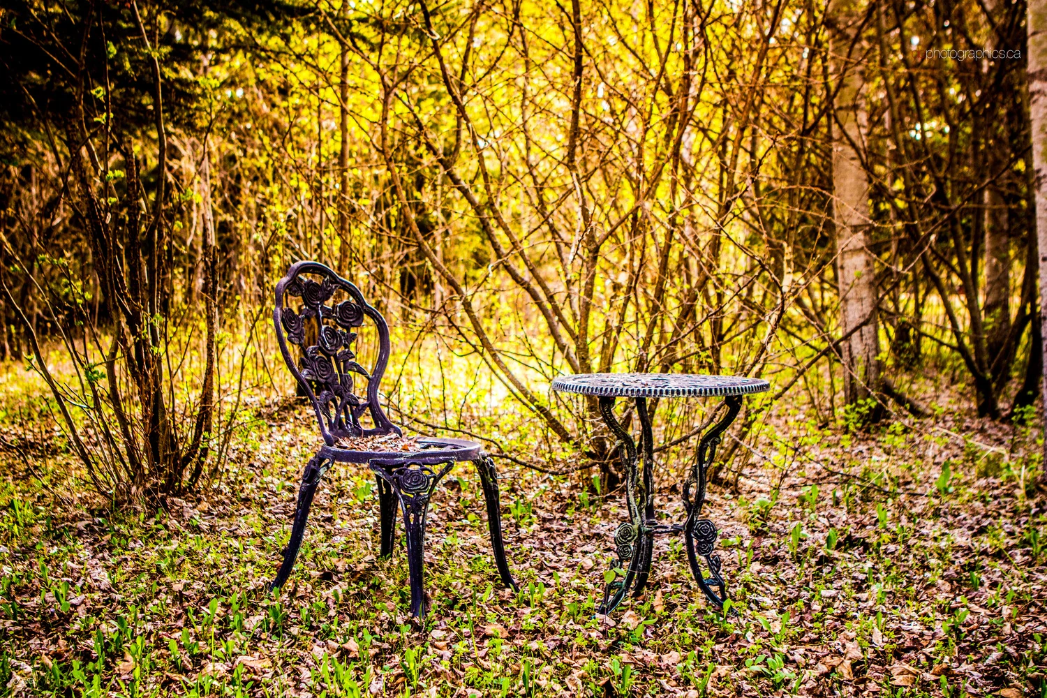 365 - 20130519 - dave - untitled shoot-170.jpg
