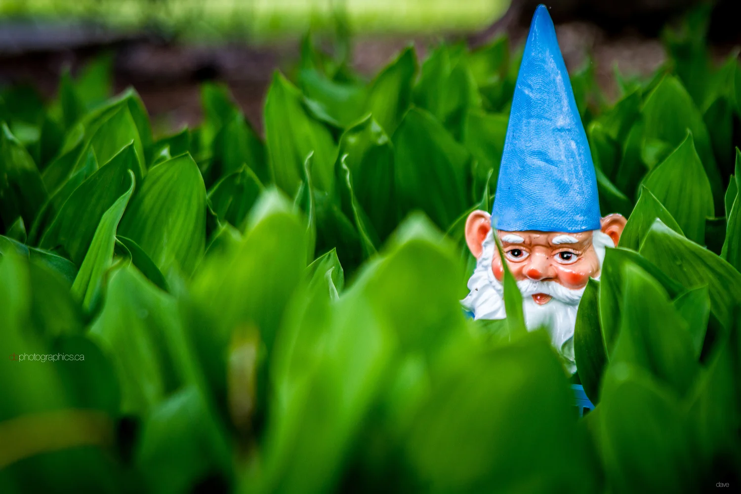365 - 20130530 - dave - untitled shoot-060.jpg
