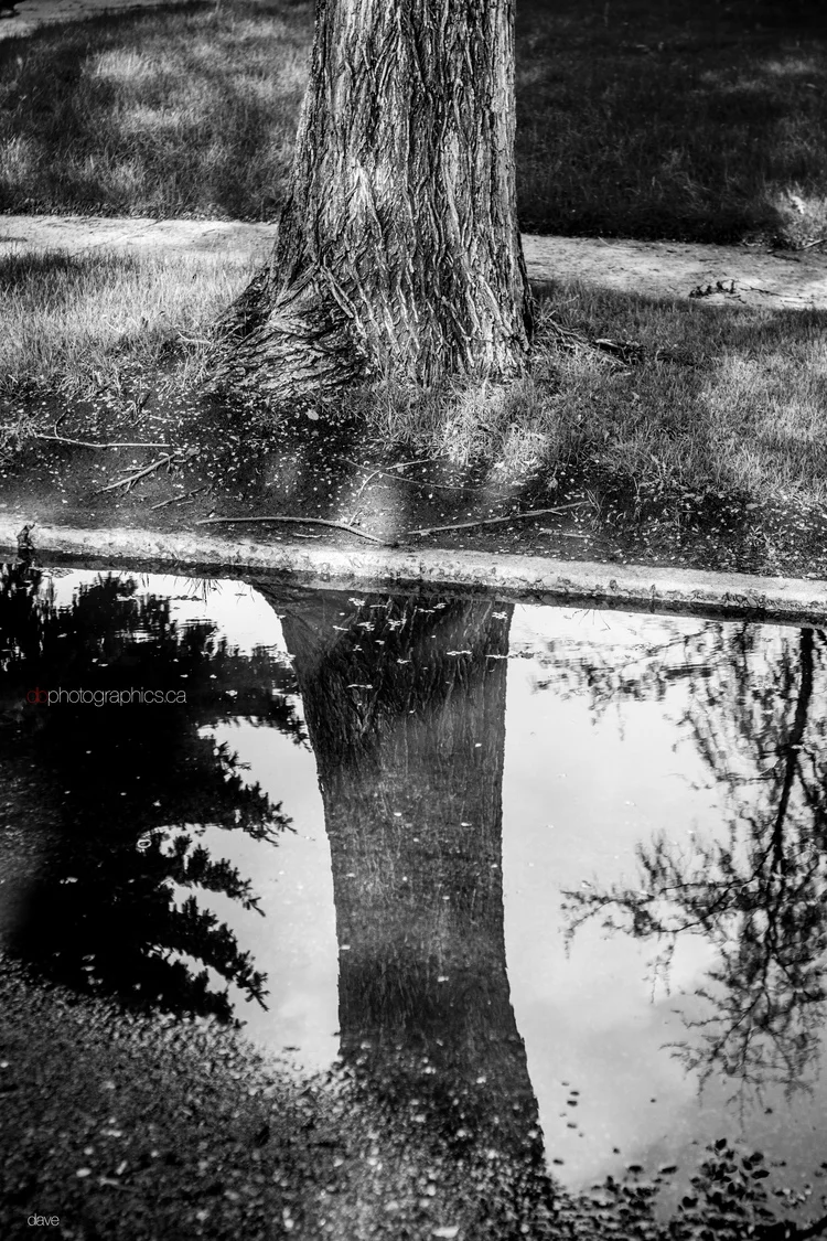365 - 20130530 - dave - untitled shoot-047.jpg