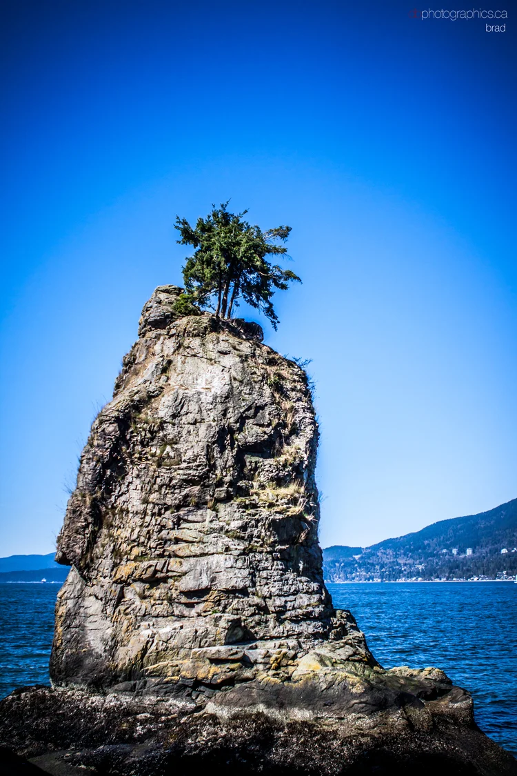 van-march-2013-736-lr-big-db.jpg
