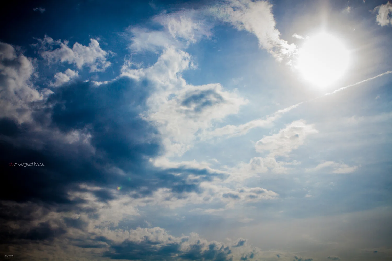 365 - 20130530 - dave - untitled shoot-010.jpg