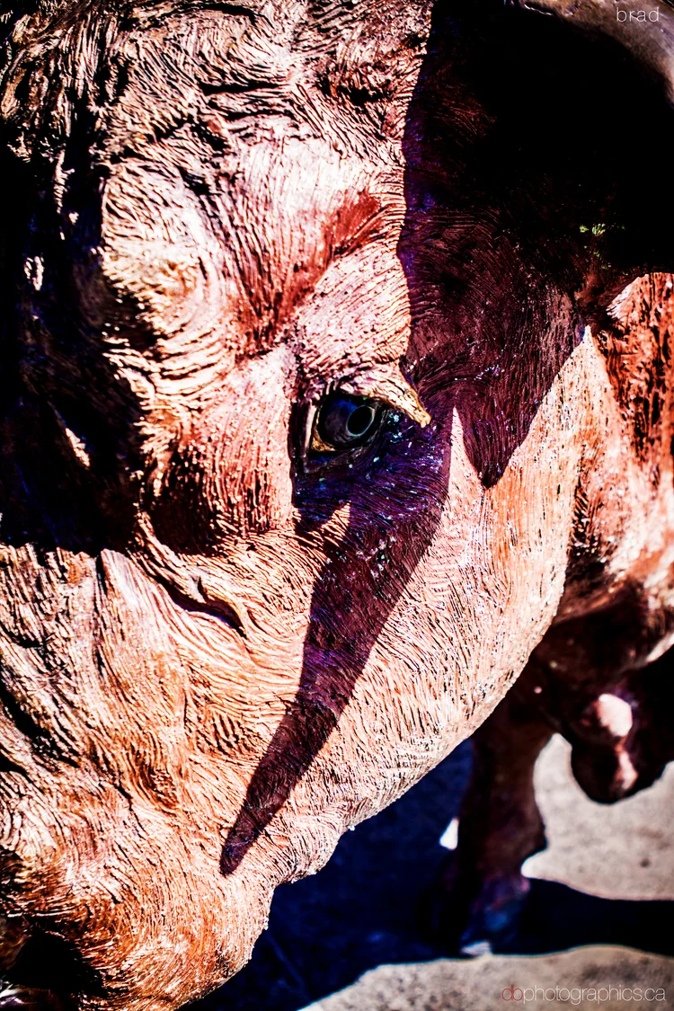 van-march-2013-194-lr-big-db.jpg