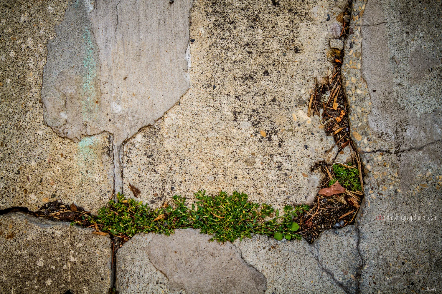 365 - 20130729 - dave - IMG_1886.jpg