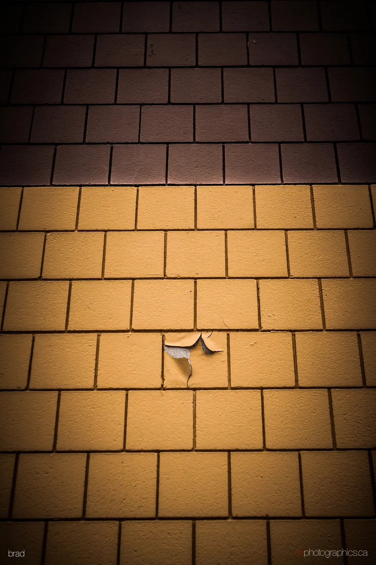 365-07-20-053-lr-db.jpg