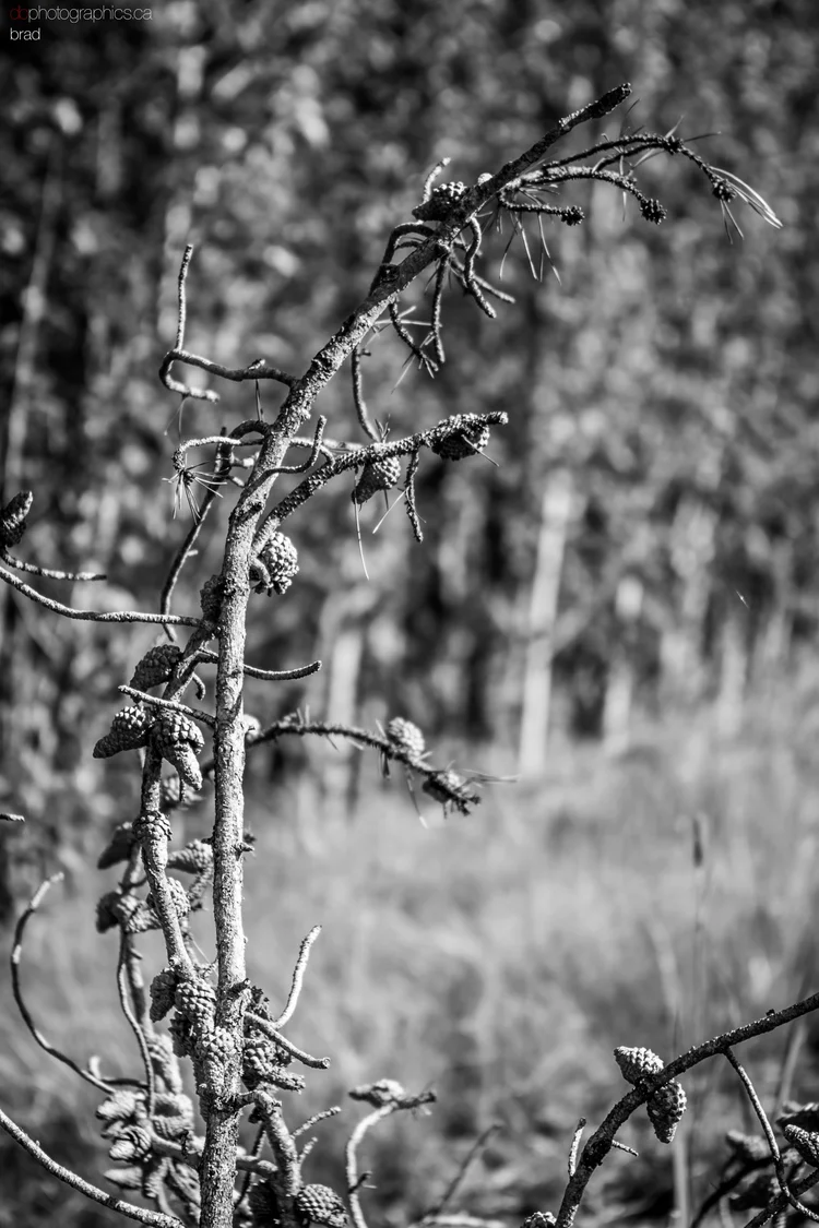 van-sea-2013-027-lr-db.jpg