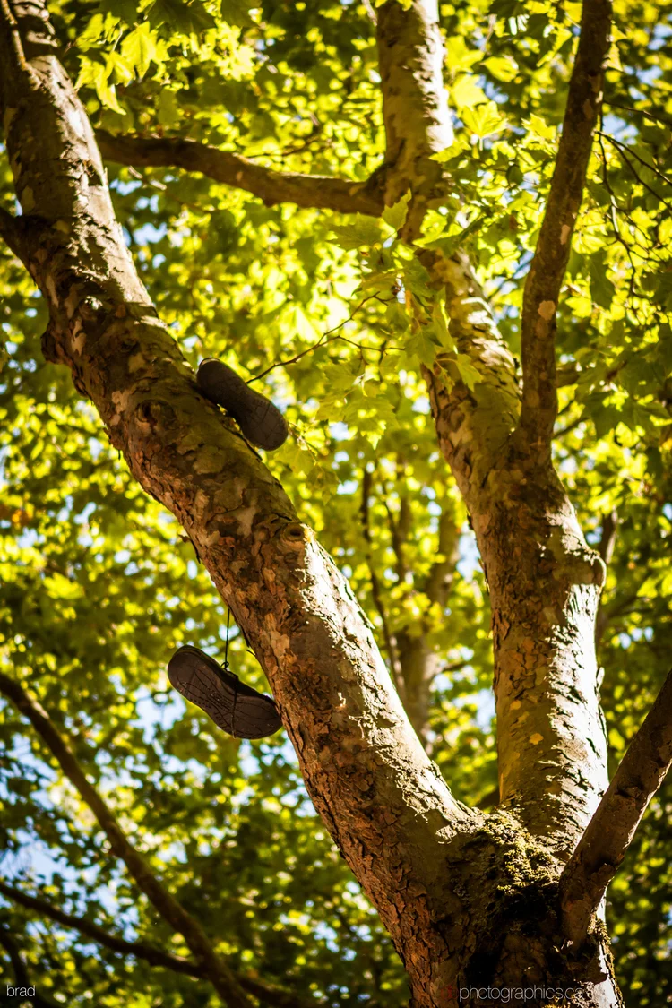 van-sea-2013-589-lr-db.jpg